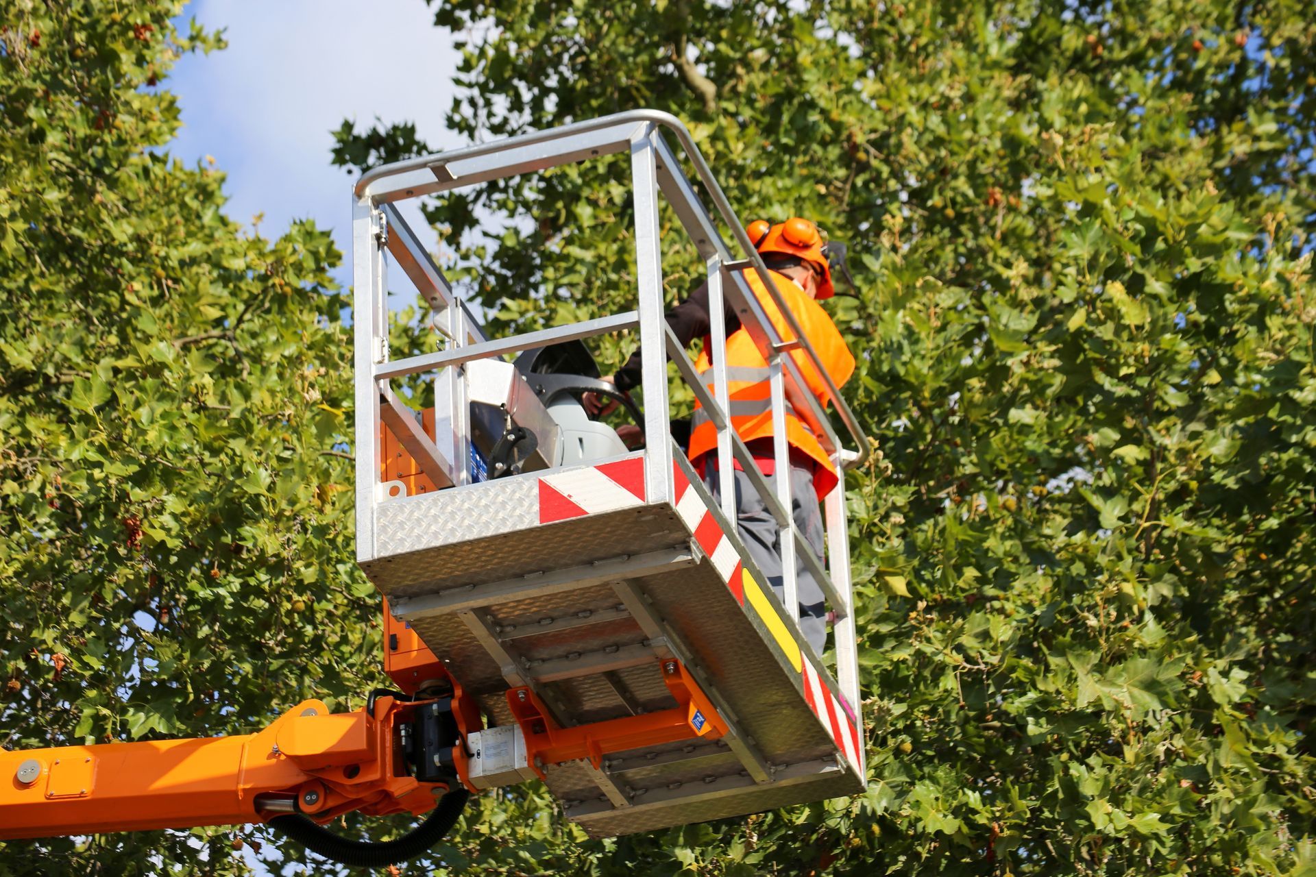 Person in orange vest and hard hat in aerial lift basket trimming tree branches.