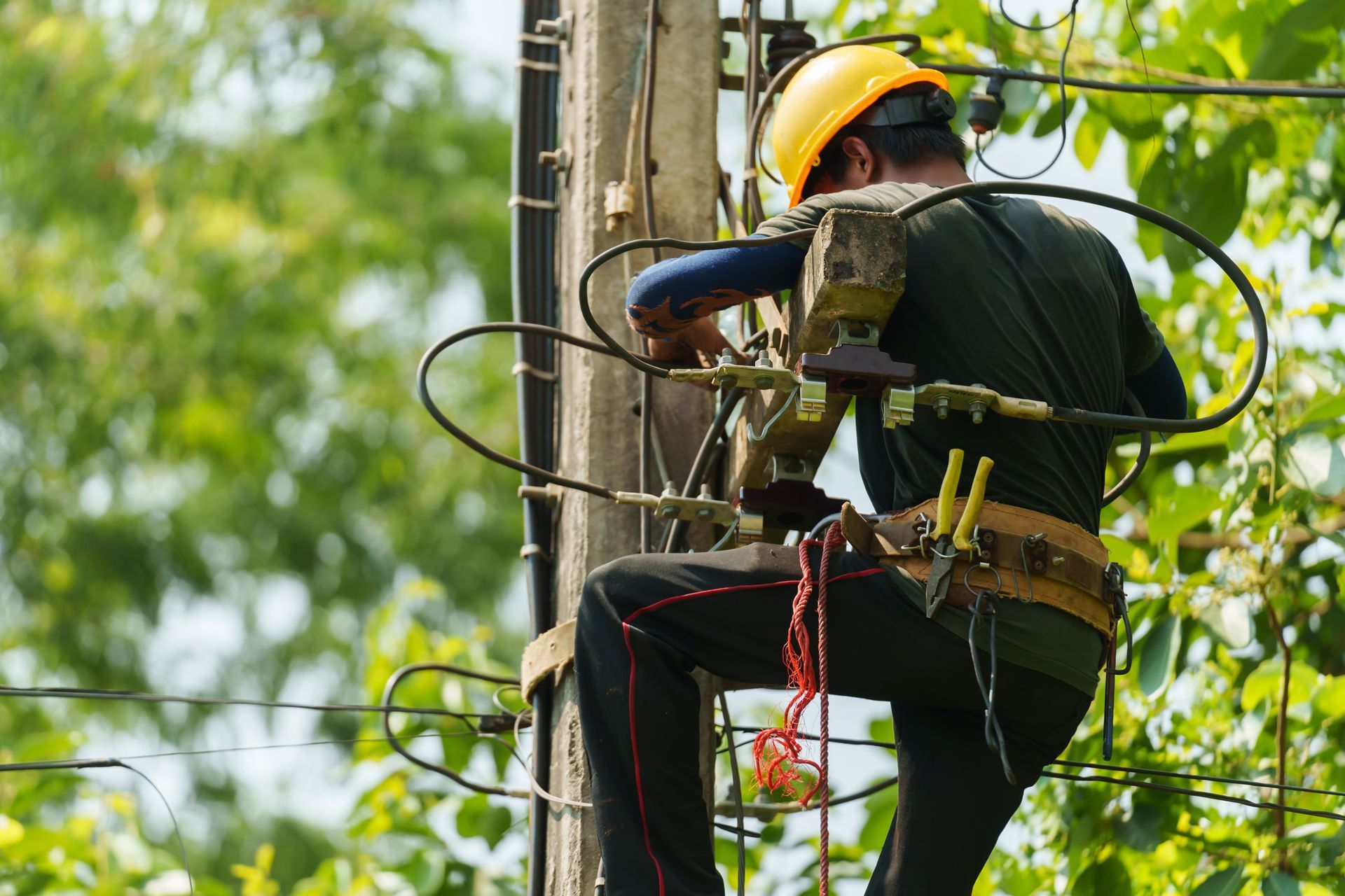 A tree services worker applying lubricant to a pole saw during tree maintenance. Lineman in hard hat working on a power line atop a utility pole; tools at his side, surrounded by trees.