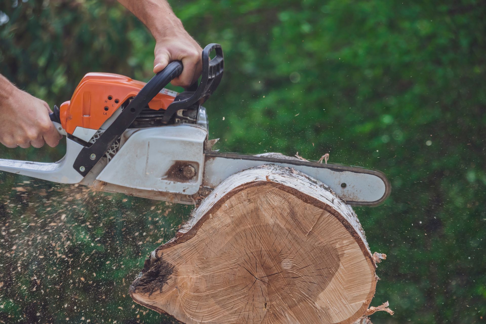 Person using a chainsaw to cut a section of a tree trunk; wood chips fly.