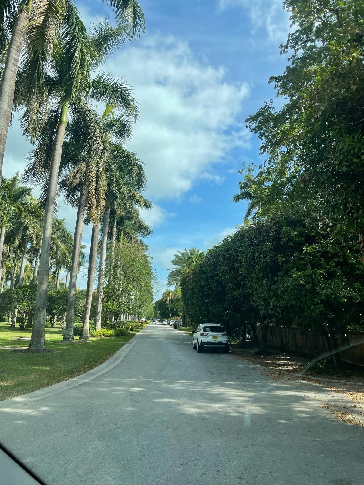 Tour Bus of Miami driving in Star Island streets