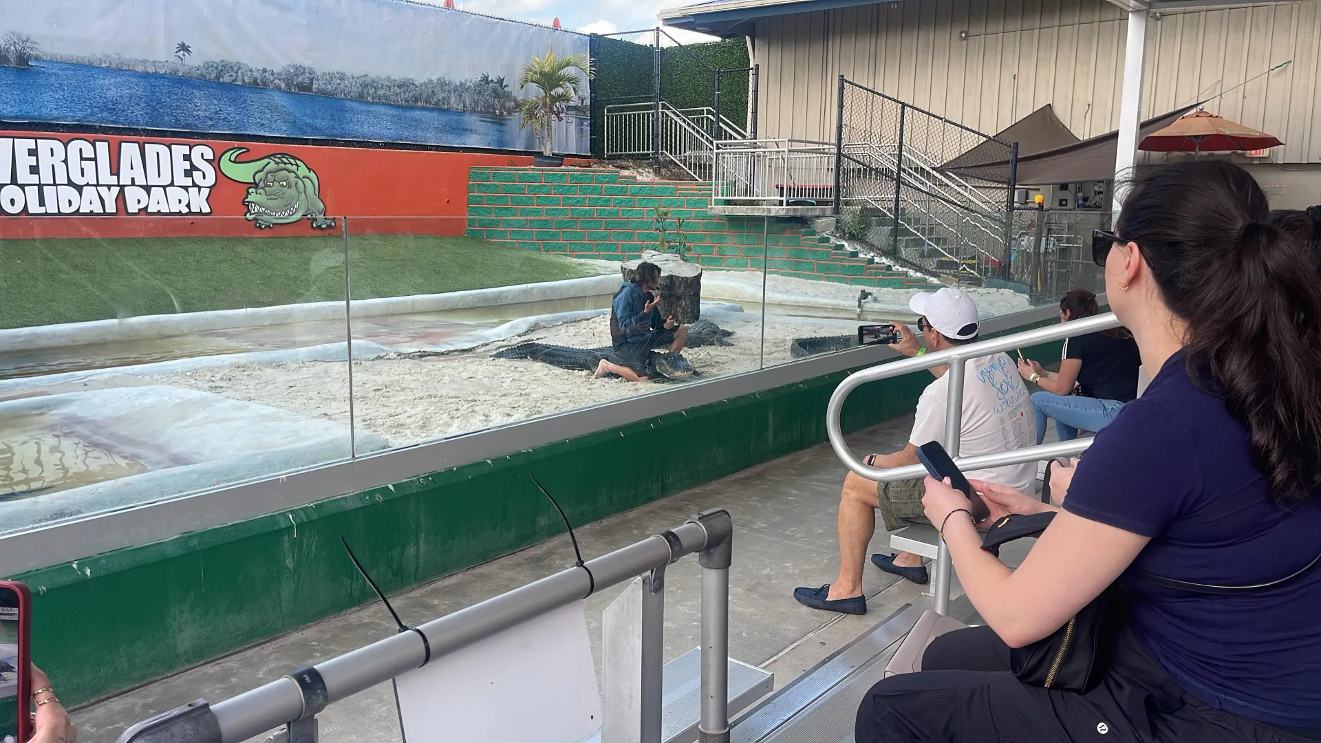 Visitors watching a live alligator demonstration during Everglades boat tours in the Florida Everglades.