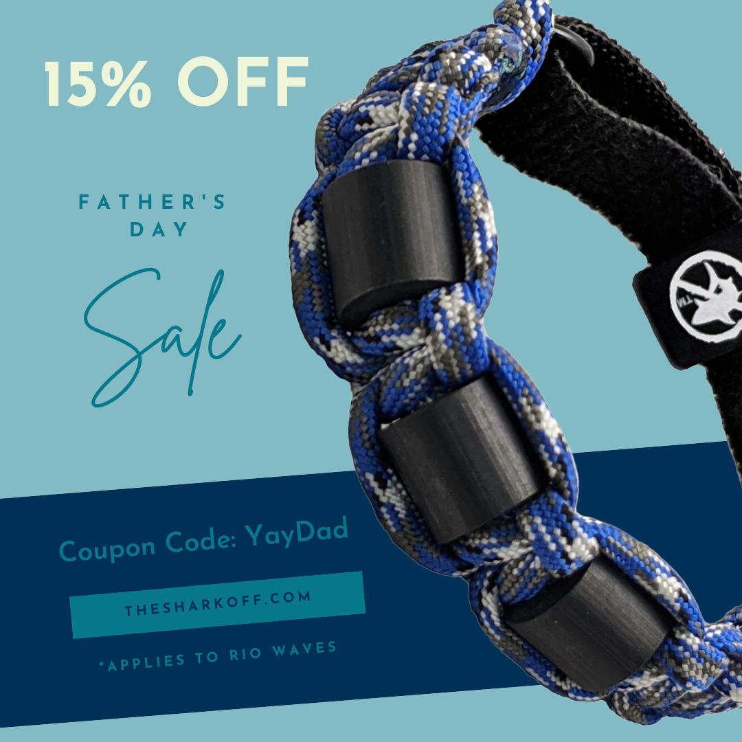Father's Day sale ad: Braided blue and gray accessory with 15% off, coupon code 