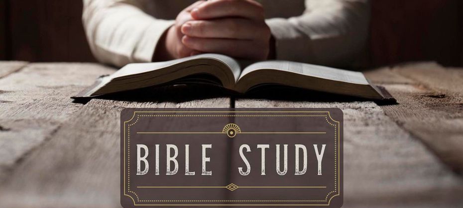 Man reading a book; 