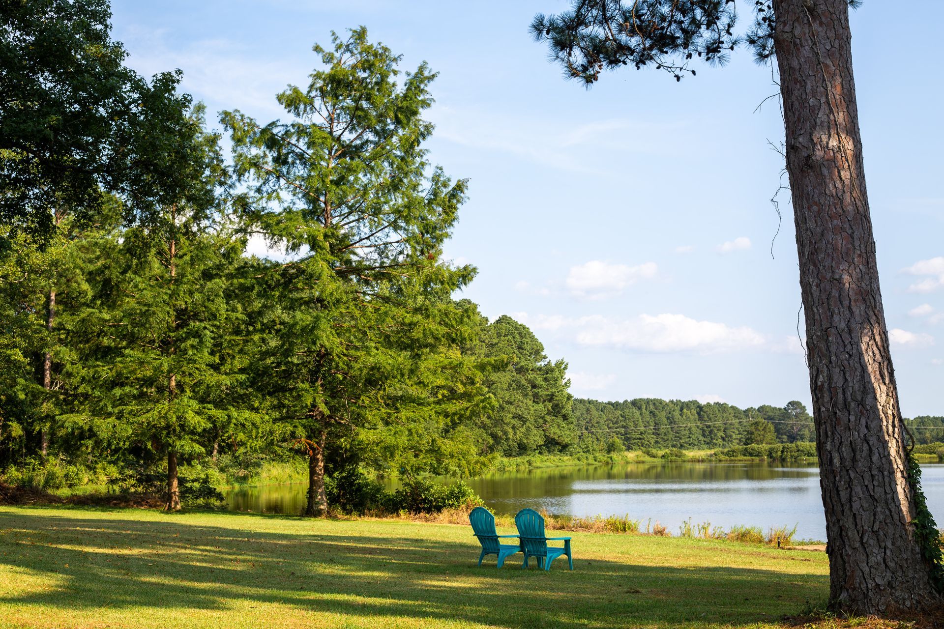 Two blue chairs are sitting in the grass near a lake.