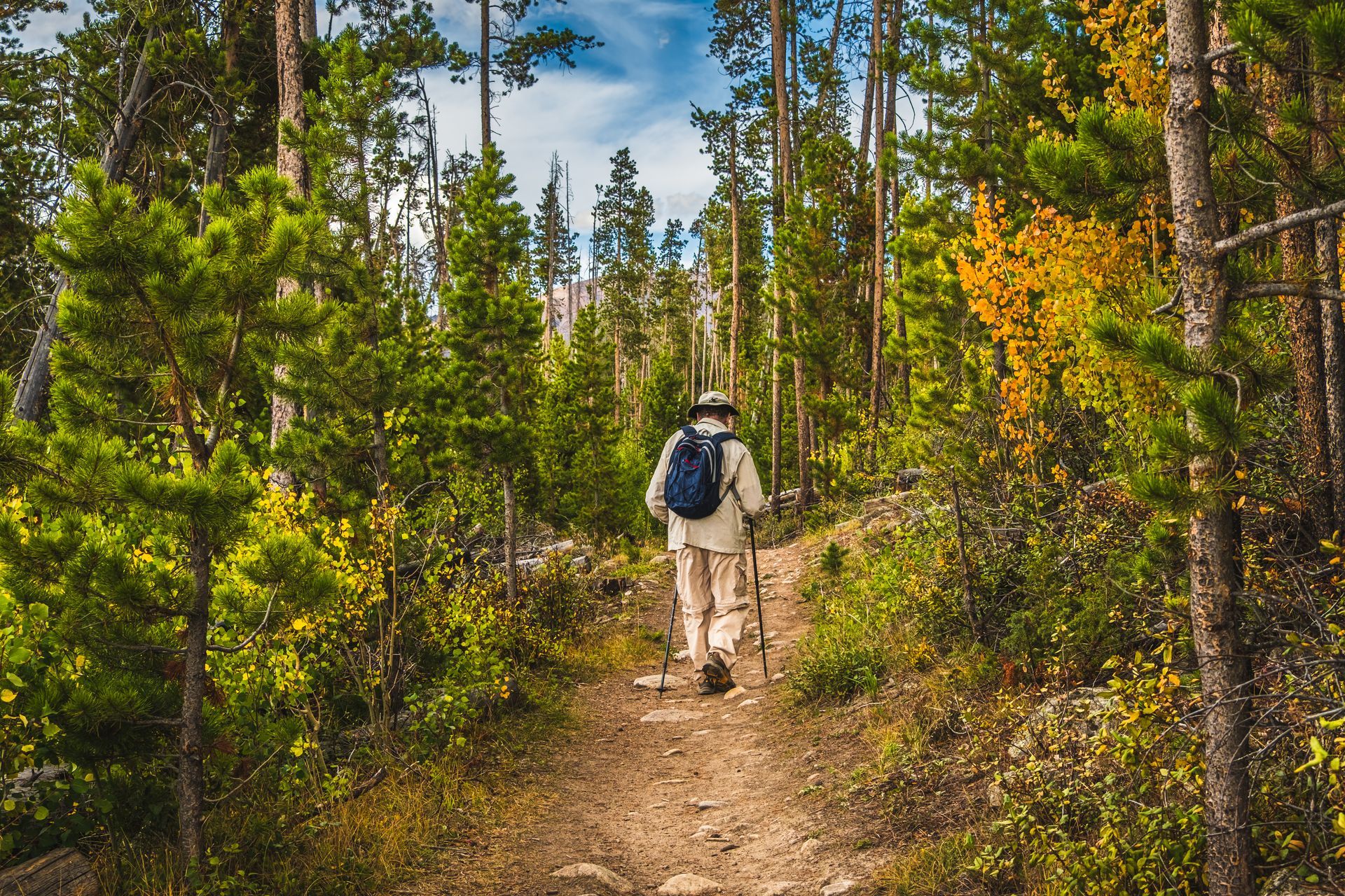 A man with a backpack is walking down a path in the woods.