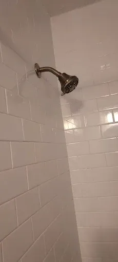 Chrome showerhead in a white-tiled shower stall