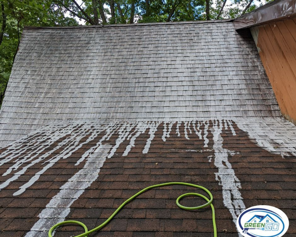 A roof partially cleaned, showing dark and light shingles with streaks and a green hose.