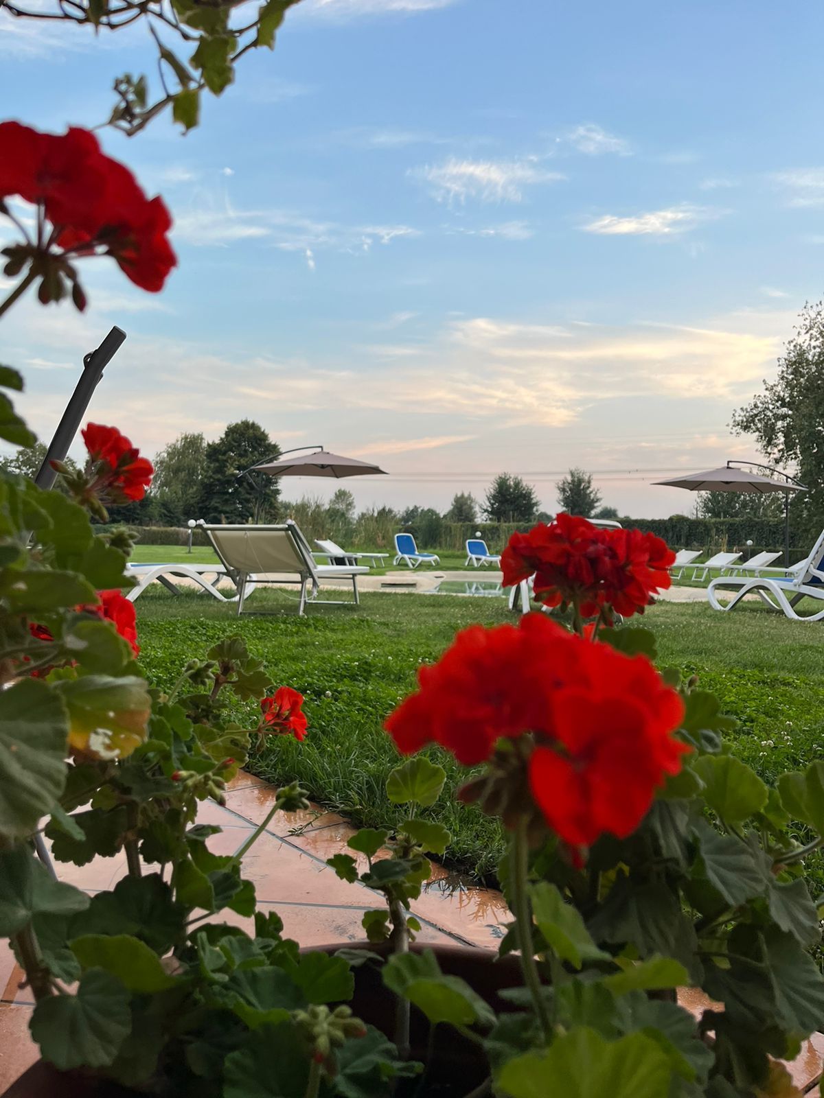 il verde all' Albergo Cosmera