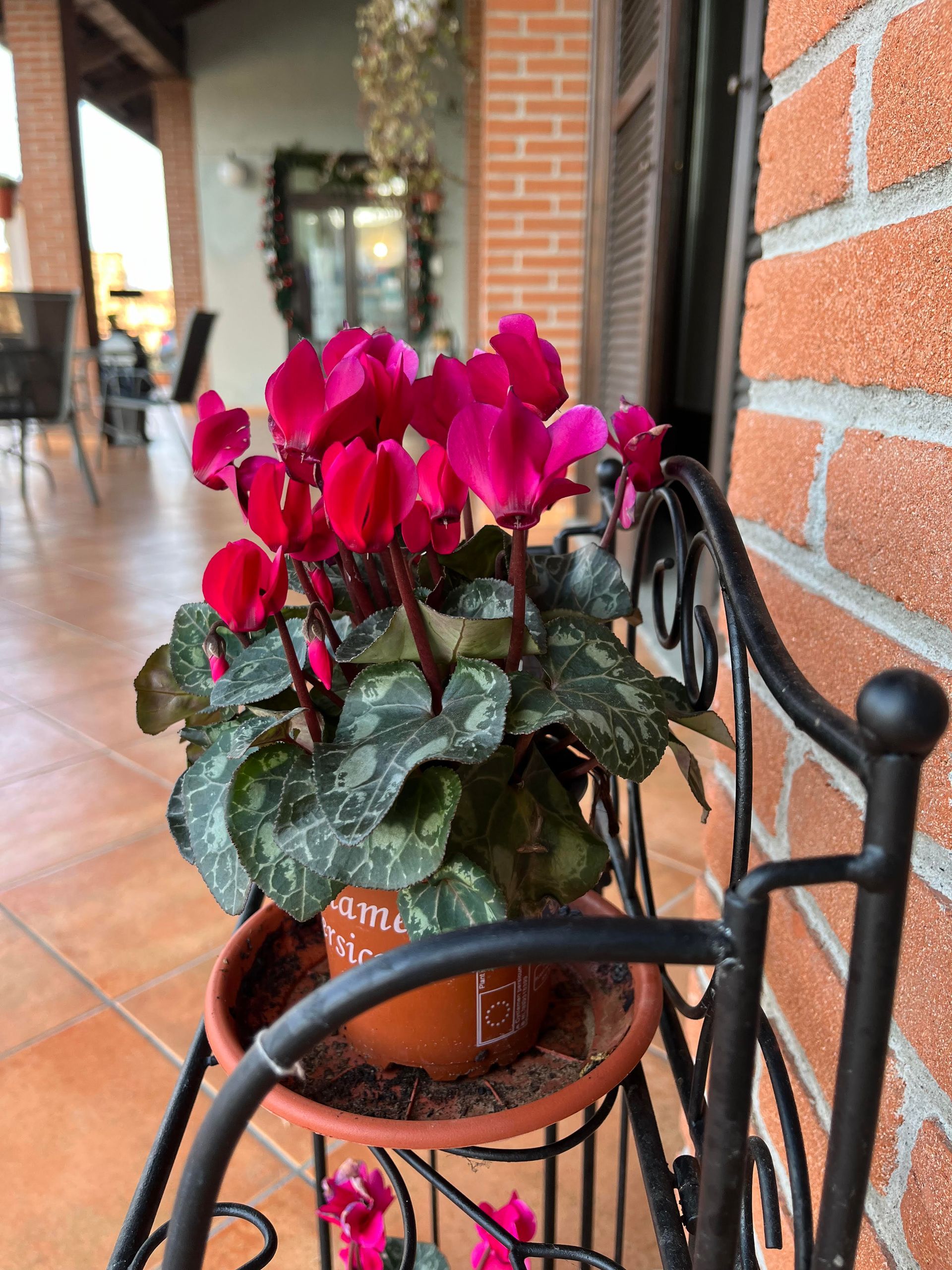 fiori