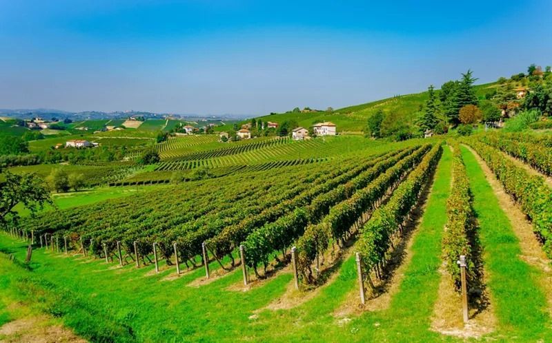 turismo Langhe e Roero