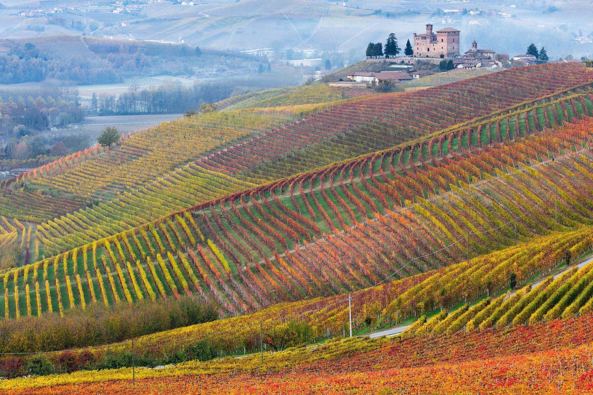 veduta delle Langhe Roero e Monferrato