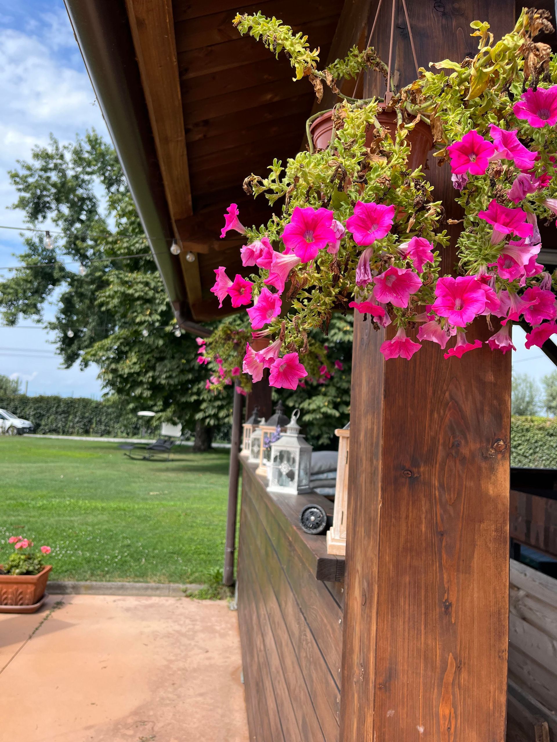 fiori