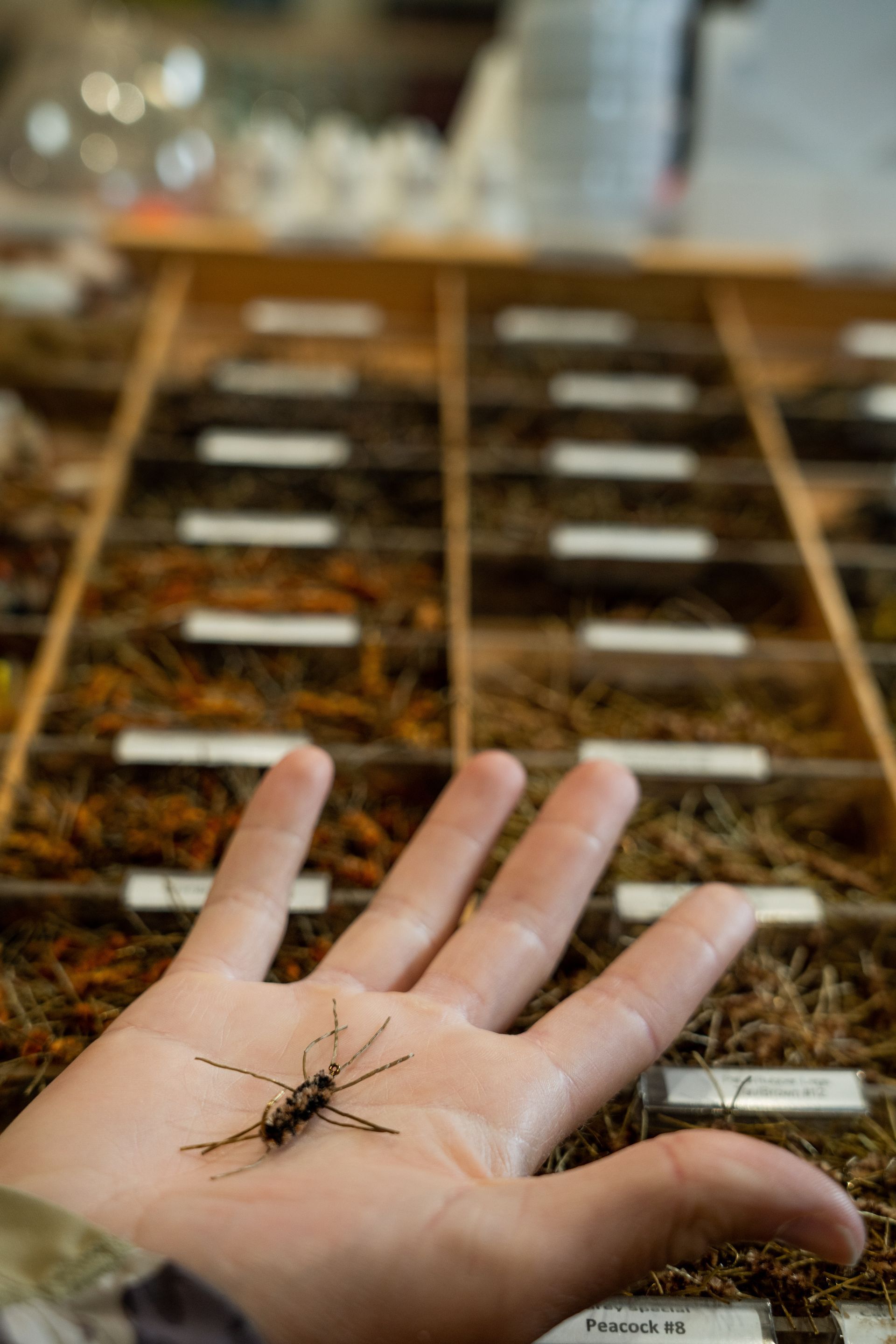 Hand holding a fly fishing fly