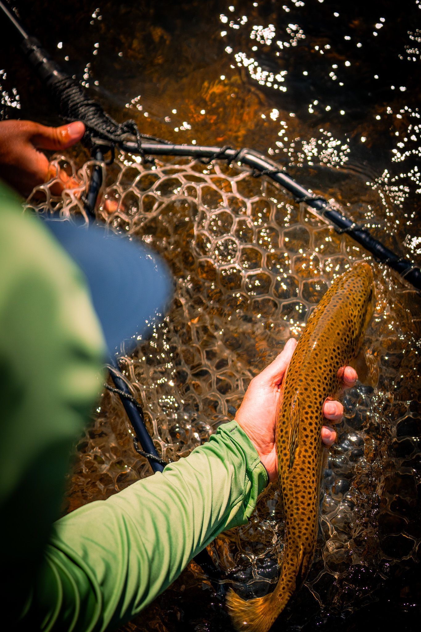 Woman Holding a Rainbow Trout