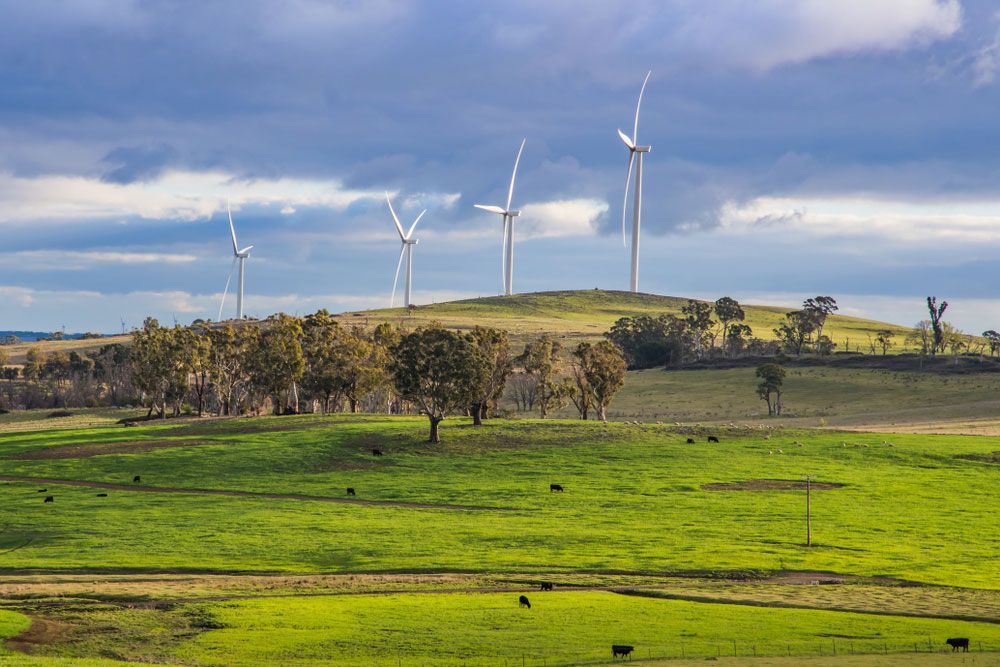 Group Of Wind Turbines On Top Of A Grassy Hill In Crookwell — Goulburn Solar In Crookwell, NSW