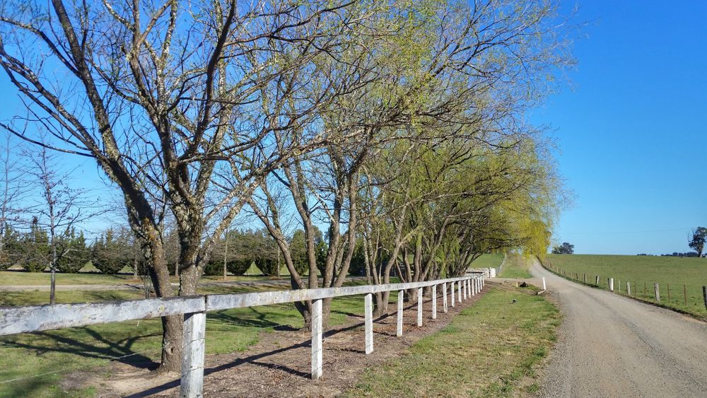 Dirt Road With A Wooden Fence And Trees On Both Sides — Goulburn Solar In Moss Vale, NSW