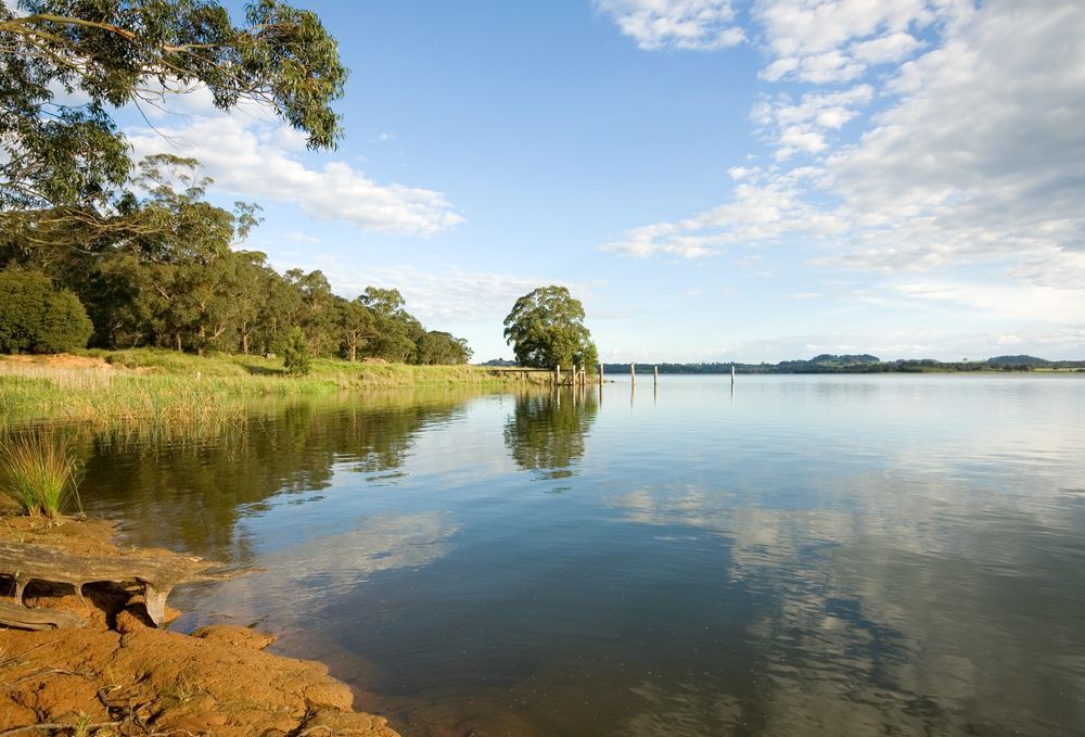 Large Body Of Water Surrounded By Trees On A Sunny Day — Goulburn Solar In Bowral, NSW
