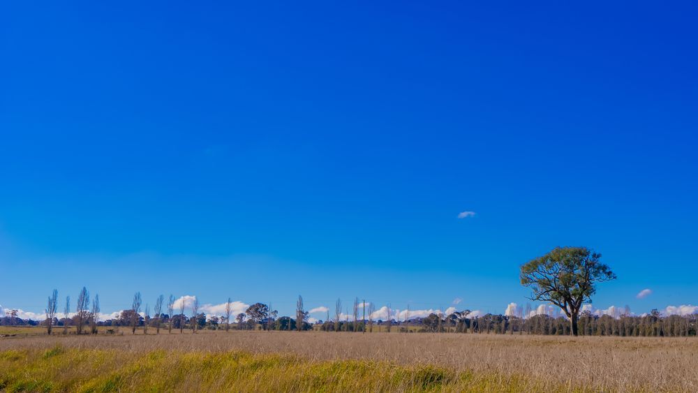 Wide Grassy Field With Distant Buildings — Goulburn Solar In Murrumbateman, NSW