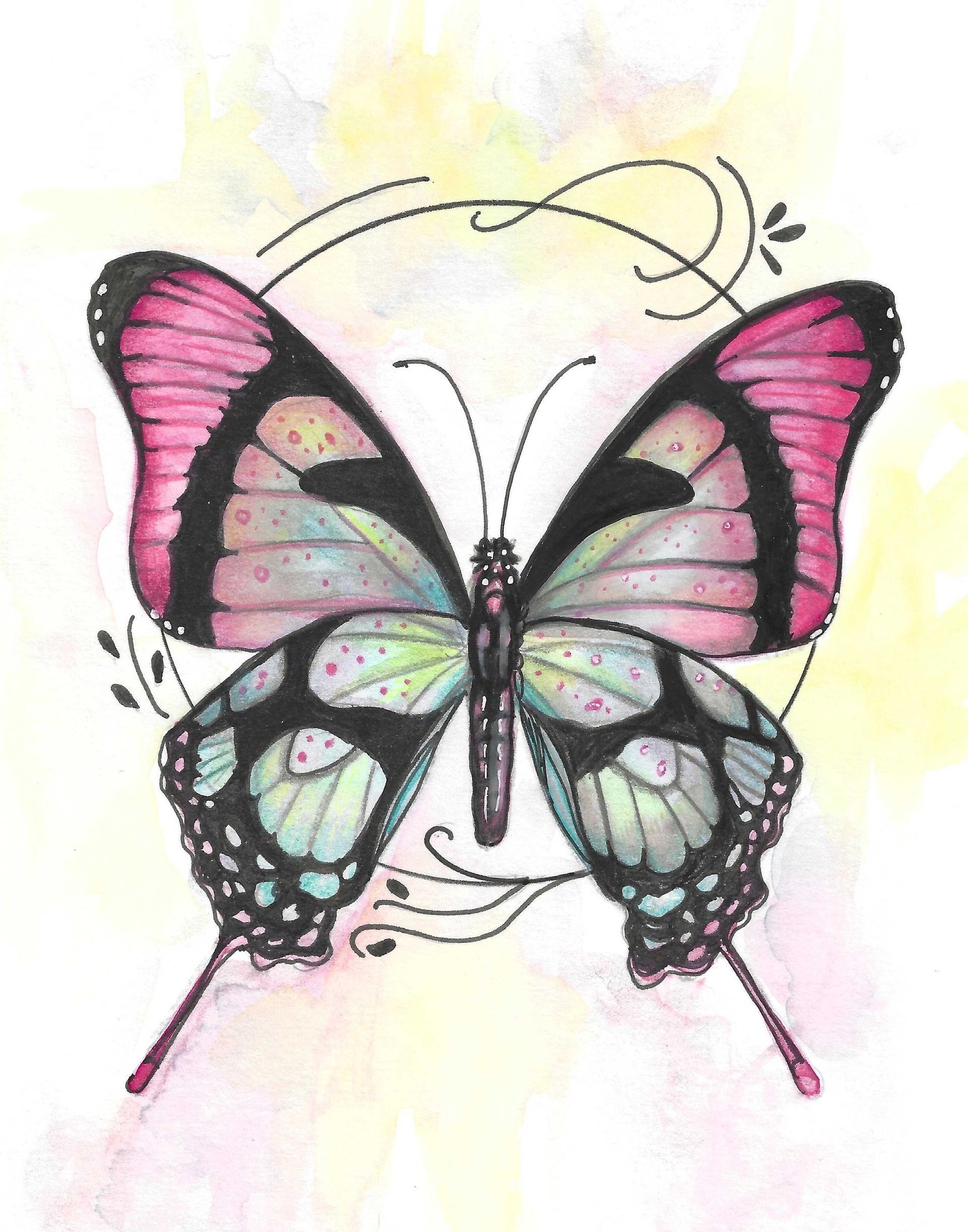 Pink and Black Butterfly fantasy illustration featuring delicate wing patterns and intricate details by Kristen Myers.