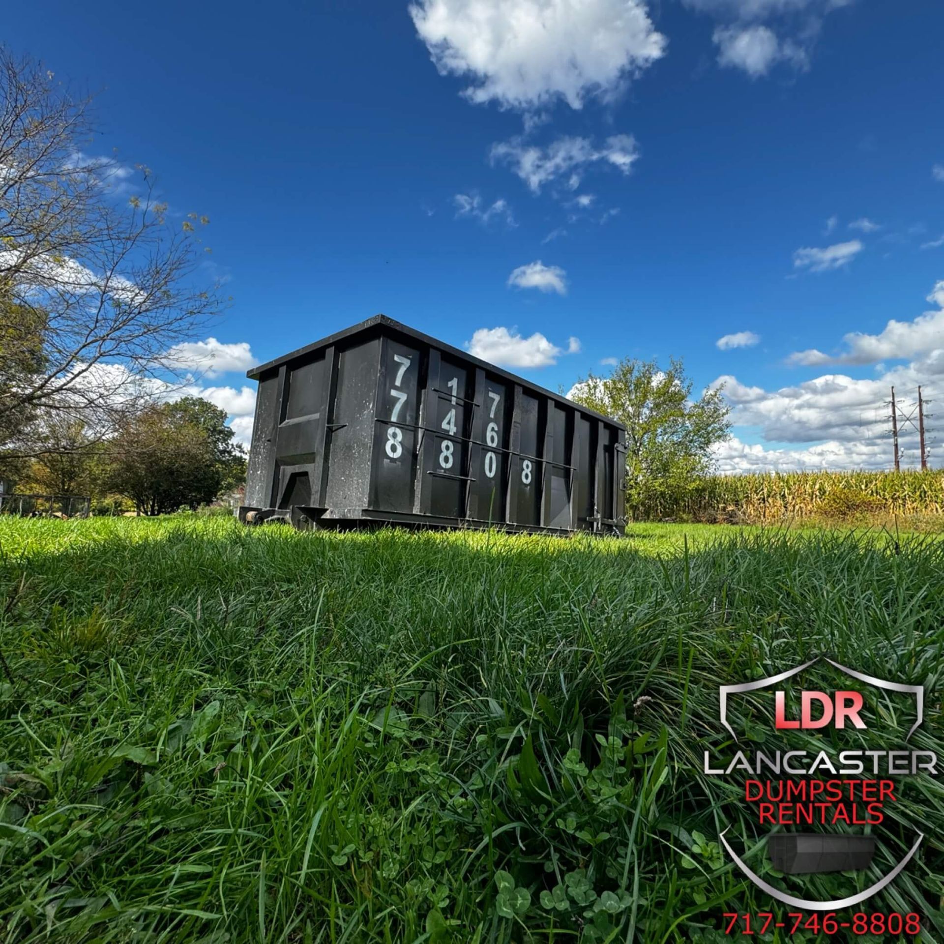 York Dumpster Rentals York Dumpster Rental
