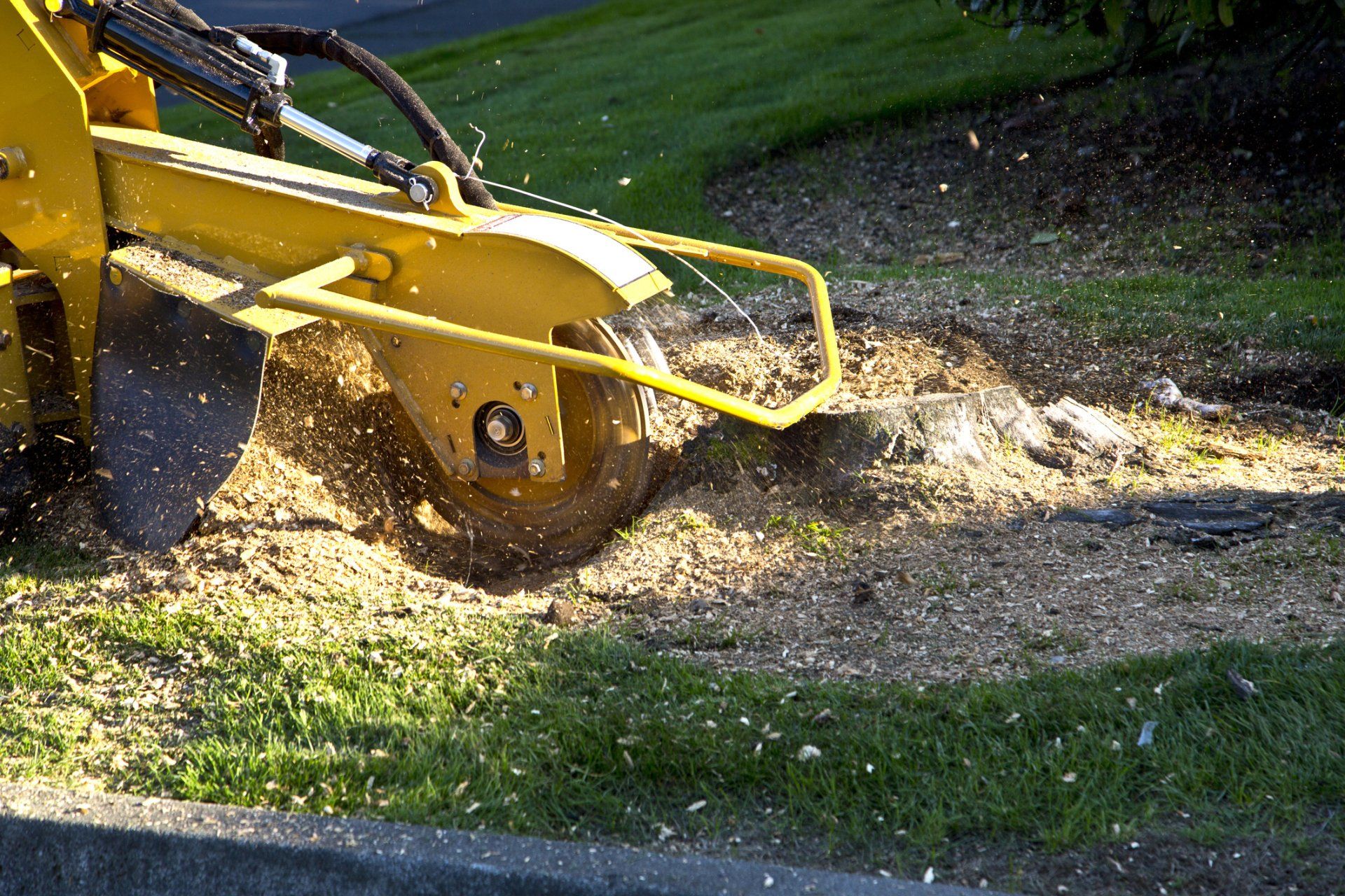 Stump Grinding — Wodonga, VIC — Curtis Tree Lopping Specialists