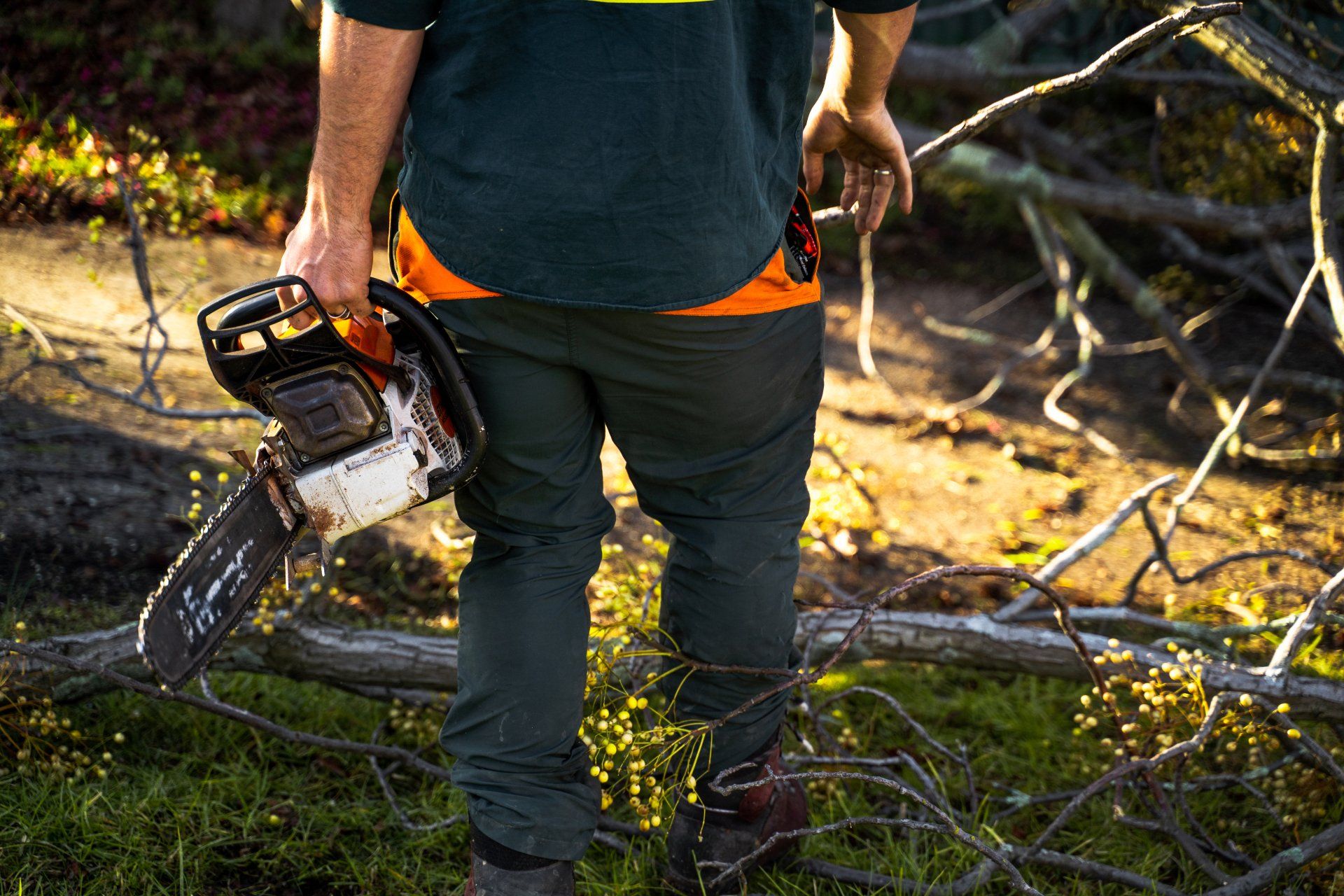 A man is holding a chainsaw in his hand in the woods.