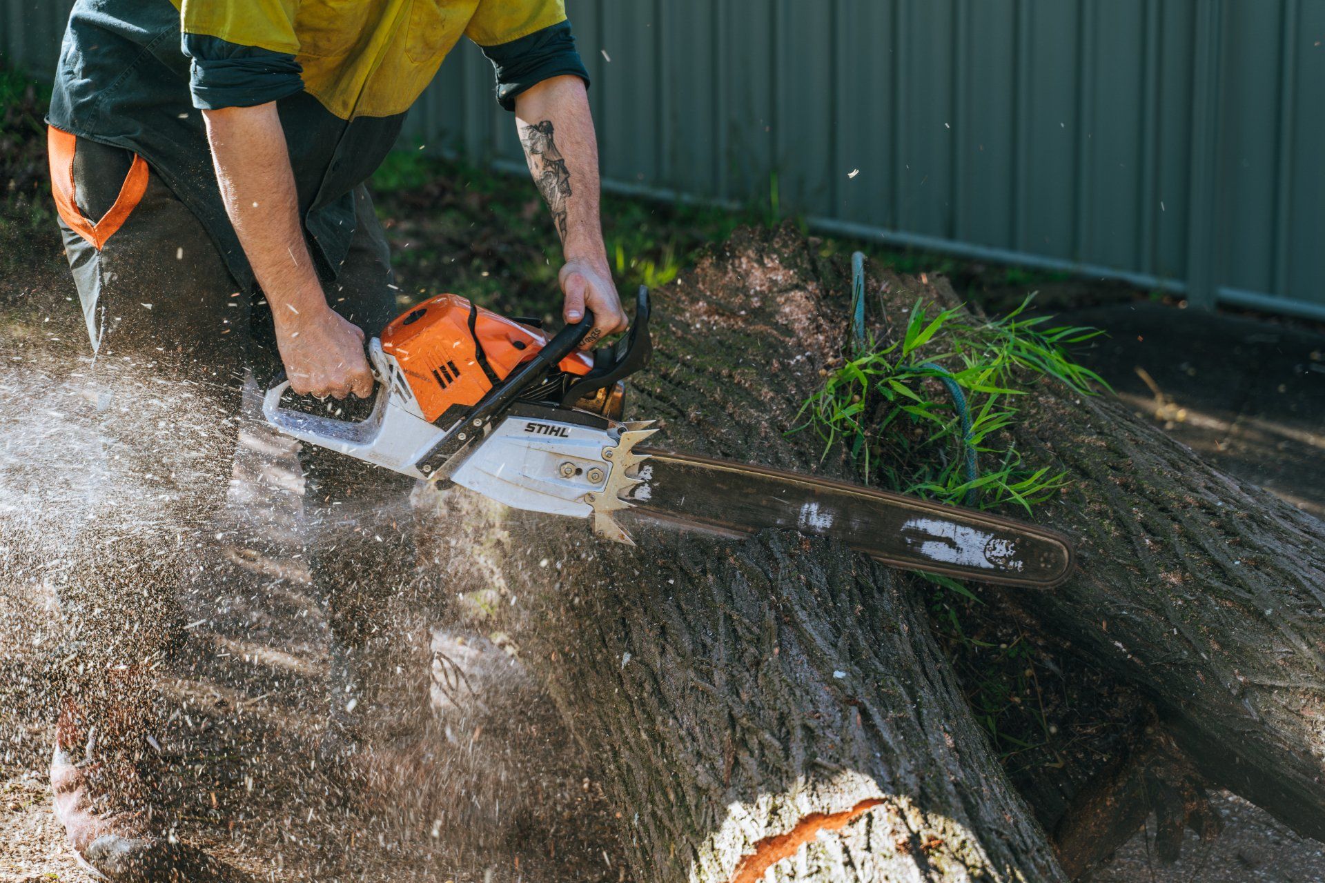 A man is using a chainsaw to cut a tree stump.