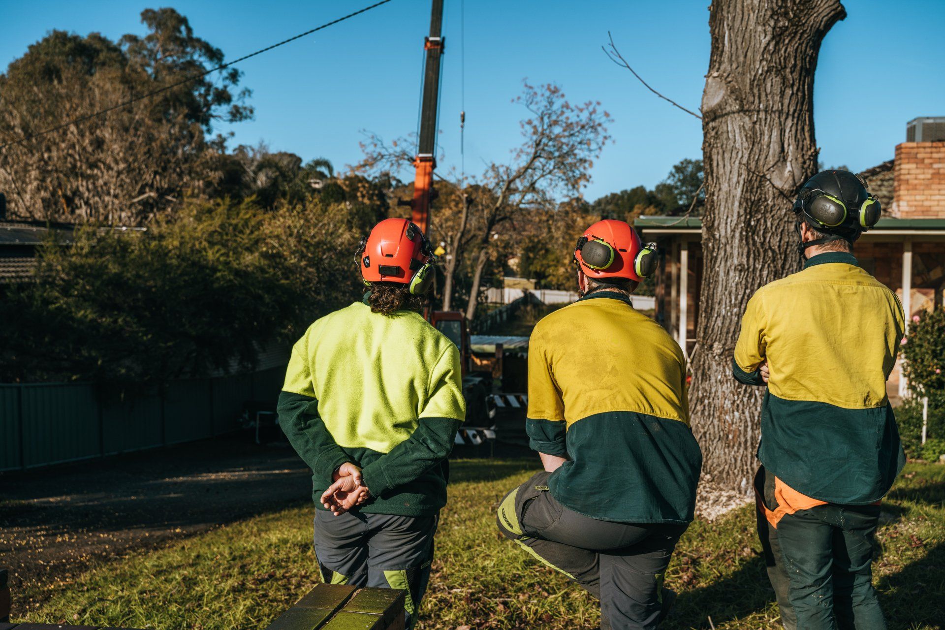 A group of men are working on a tree.
