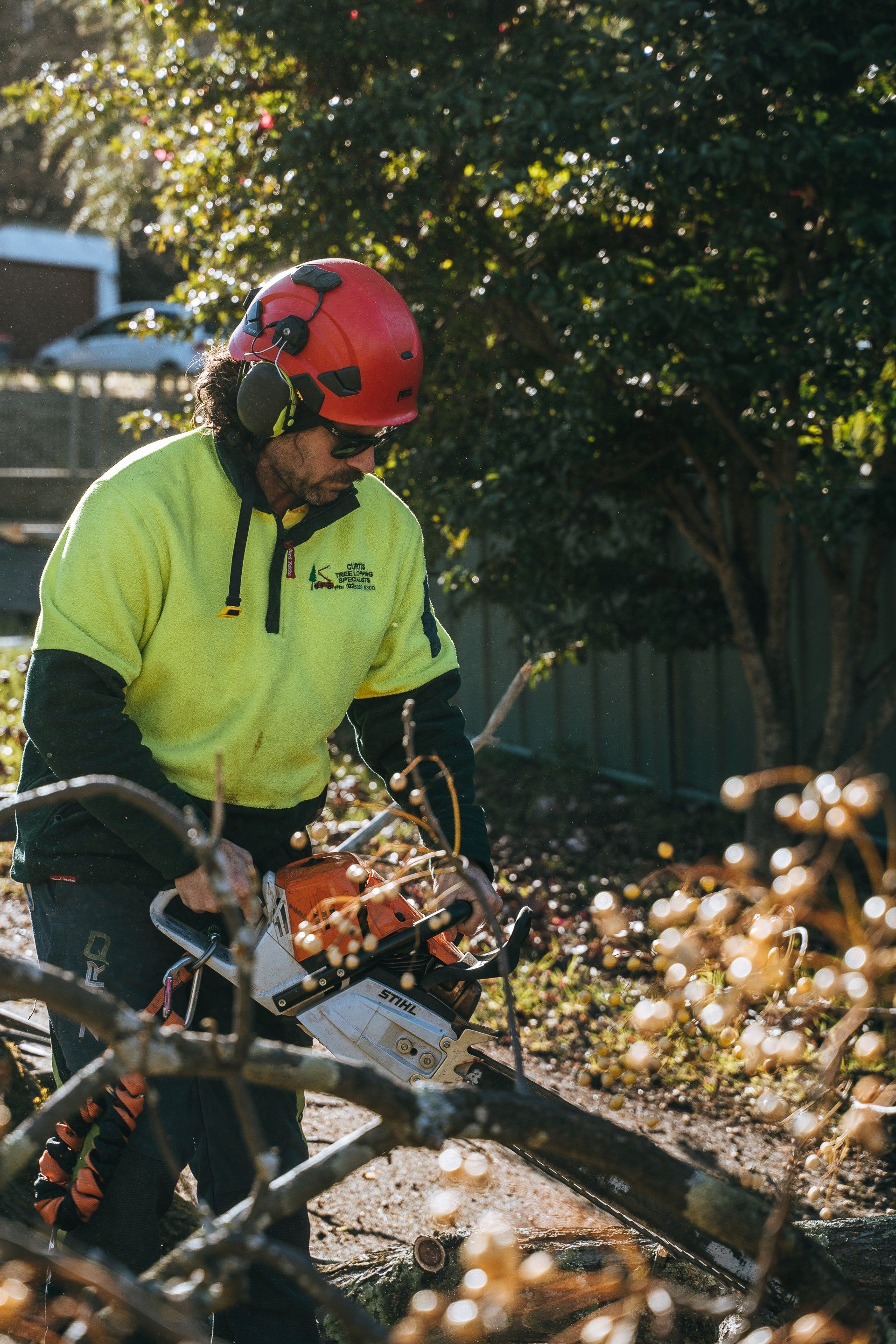 A gardener cutting a tree with a chainsaw at a garden centre