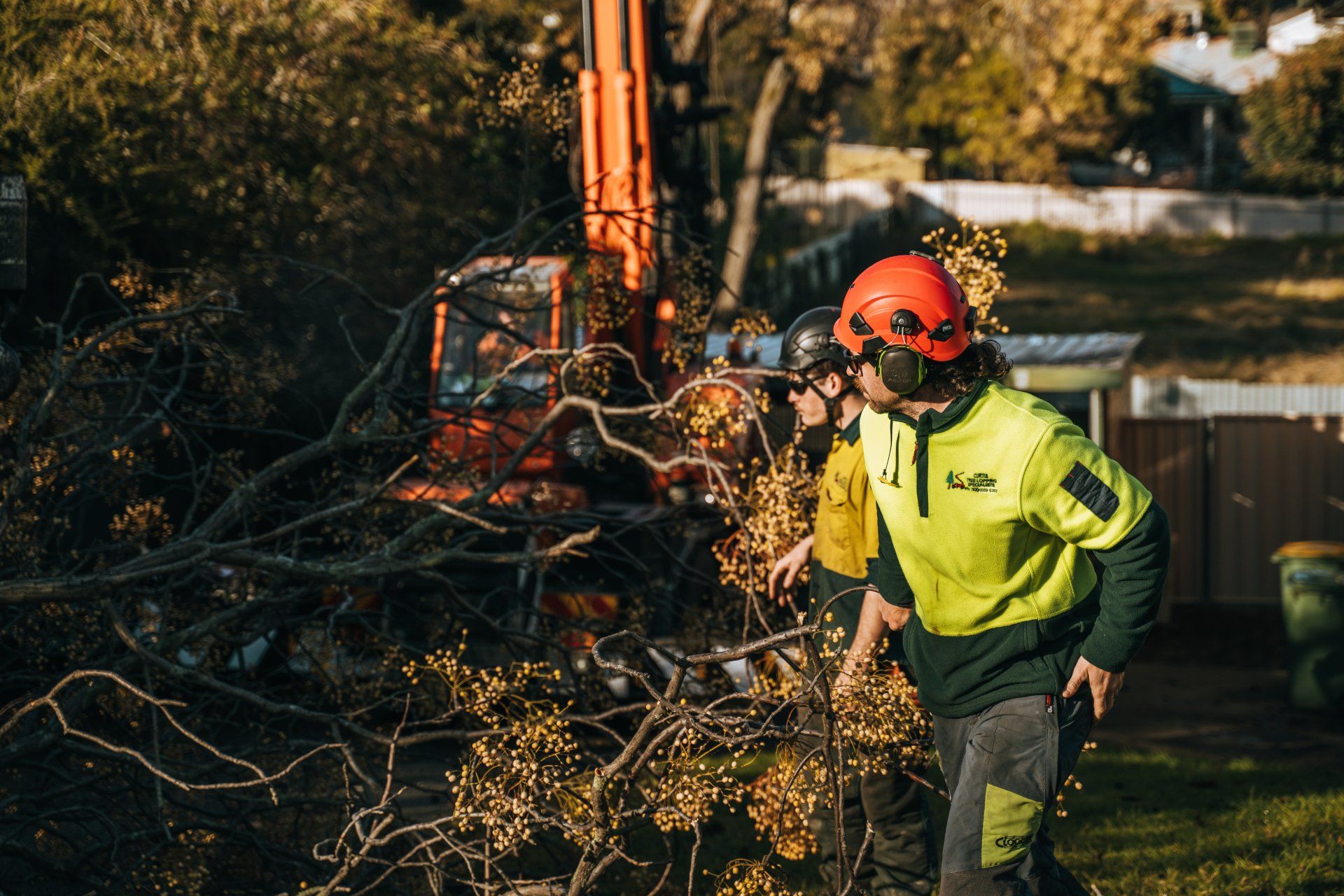 A group of men are working on a tree in a yard.