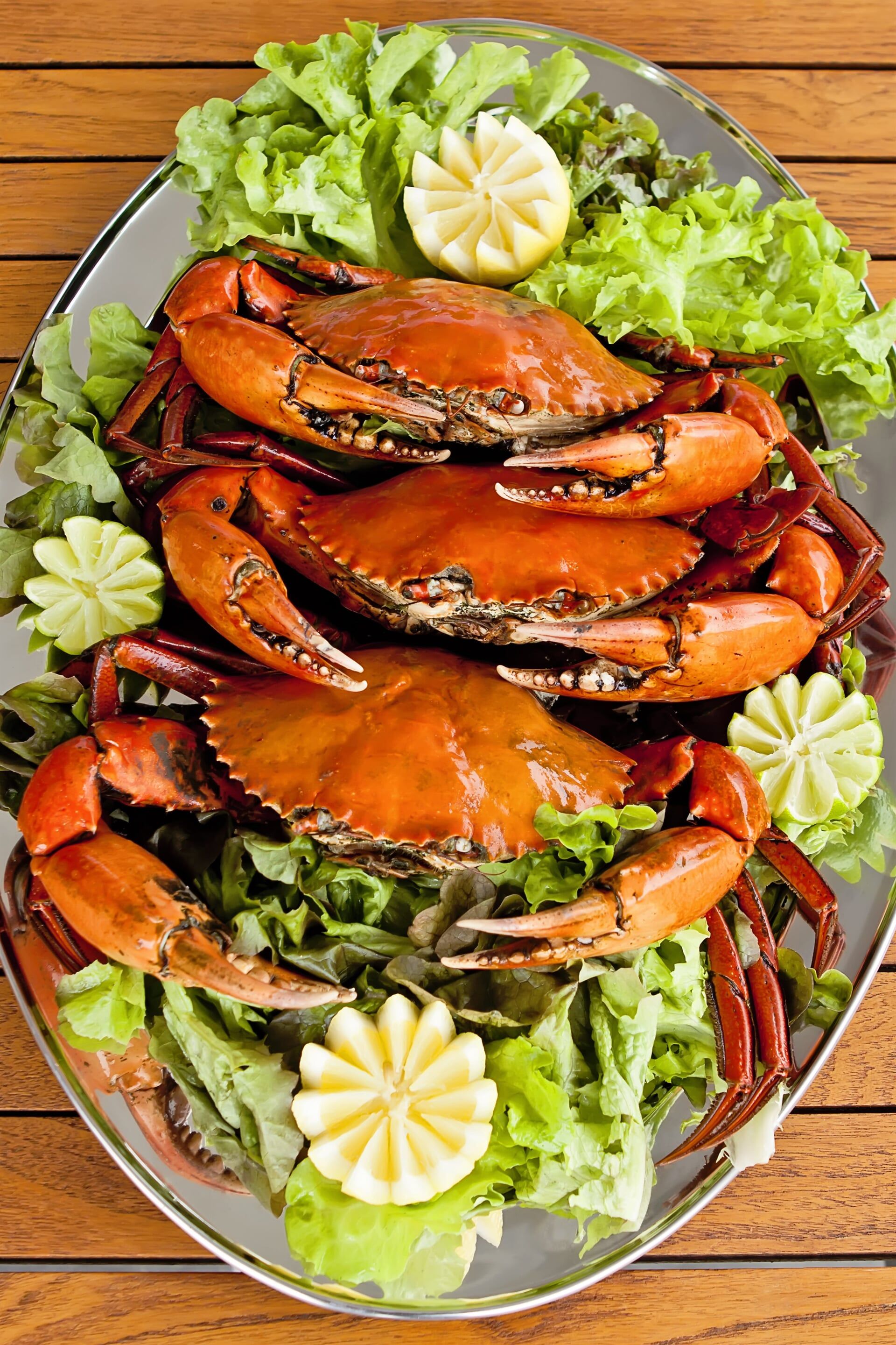 Wholesale — Fresh Seafood Townsville in Garbutt, QLD
