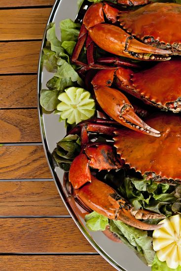 Fresh Crab — Fresh Seafood Townsville in Garbutt, QLD