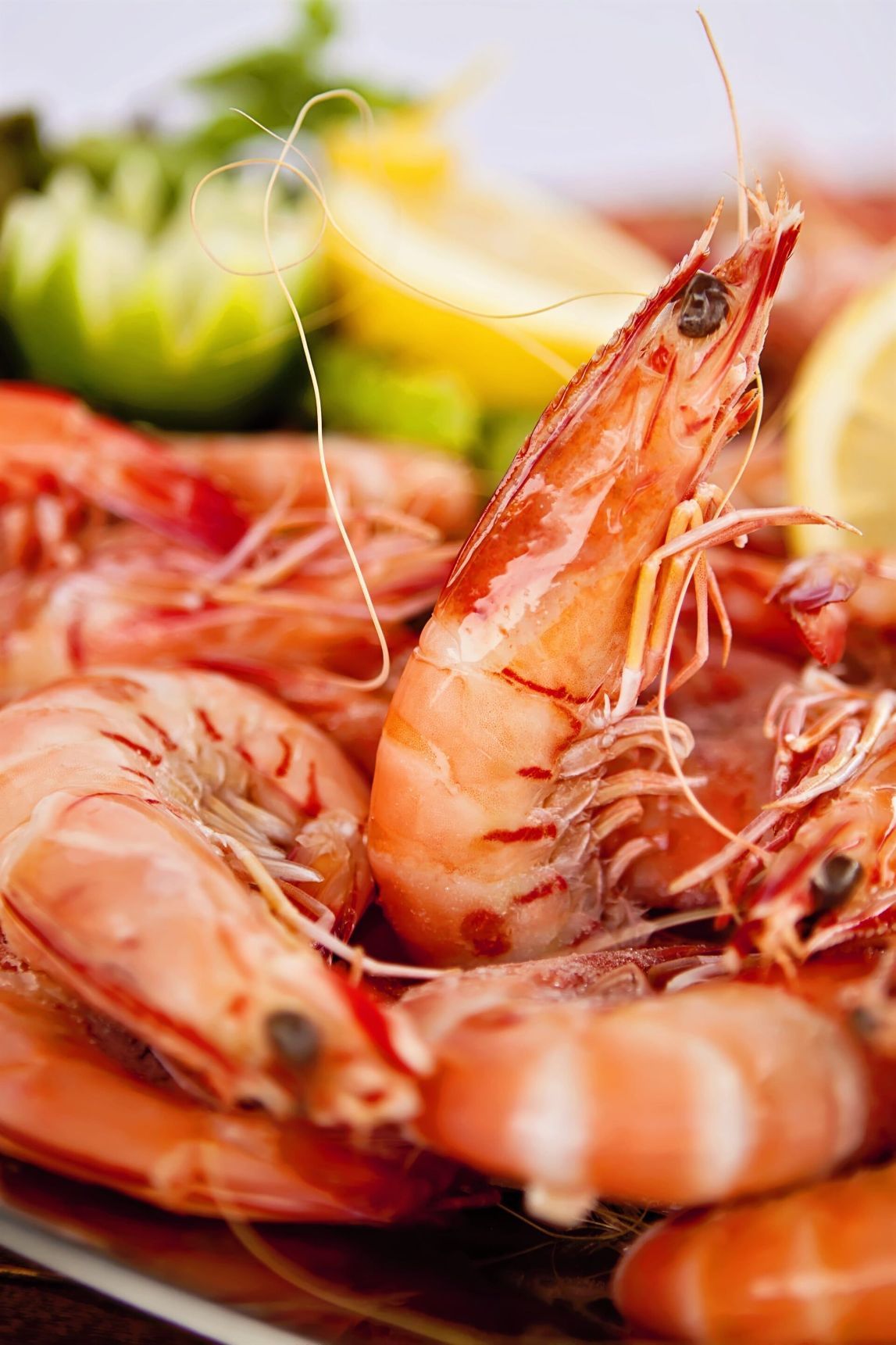 Shrimp — Fresh Seafood Townsville in Garbutt, QLD