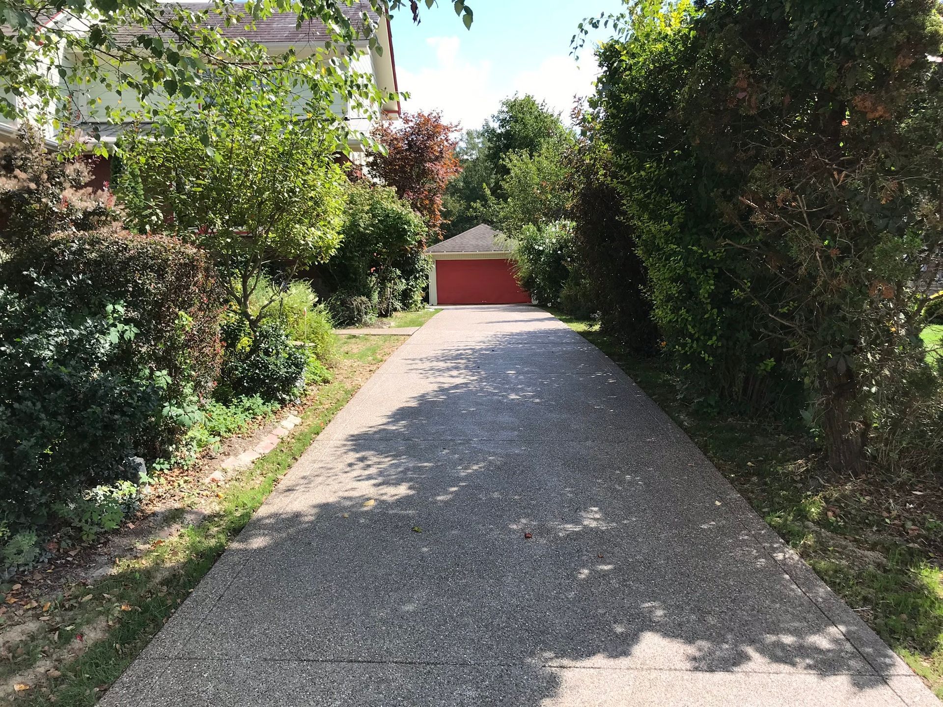 Long driveway leading to a red garage, lined with green bushes and trees.