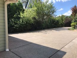 Driveway with beige concrete, leading to lush green bushes and trees under a sunny sky.