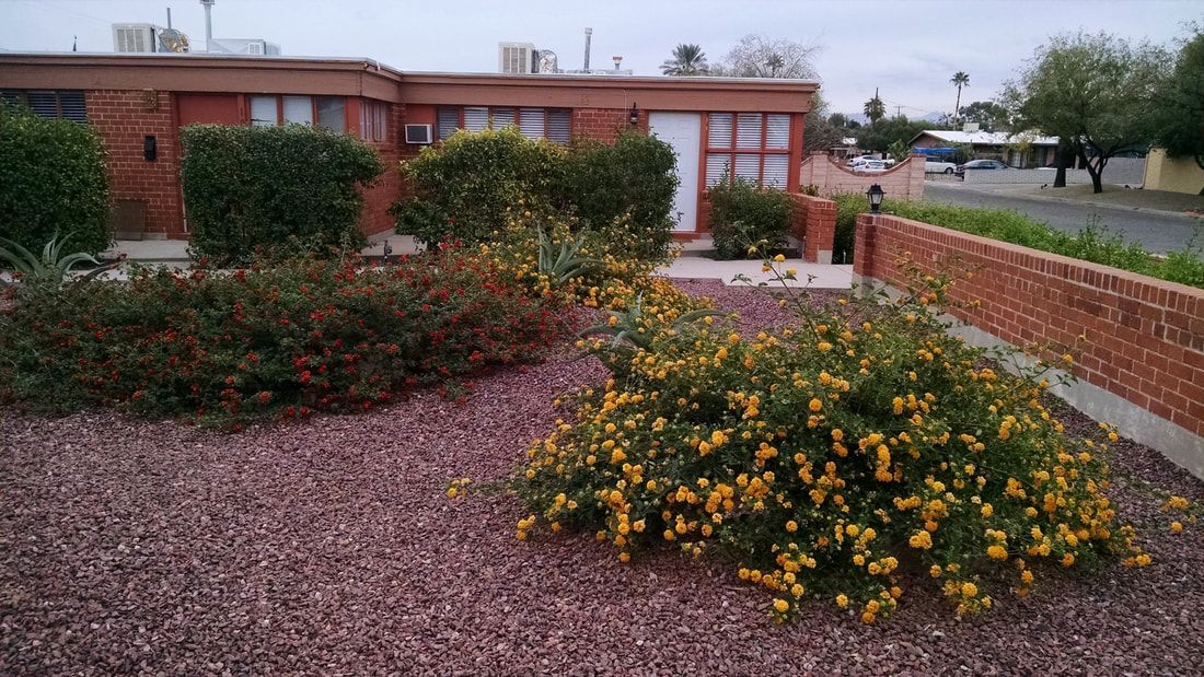 Rancho Encanto Apartments