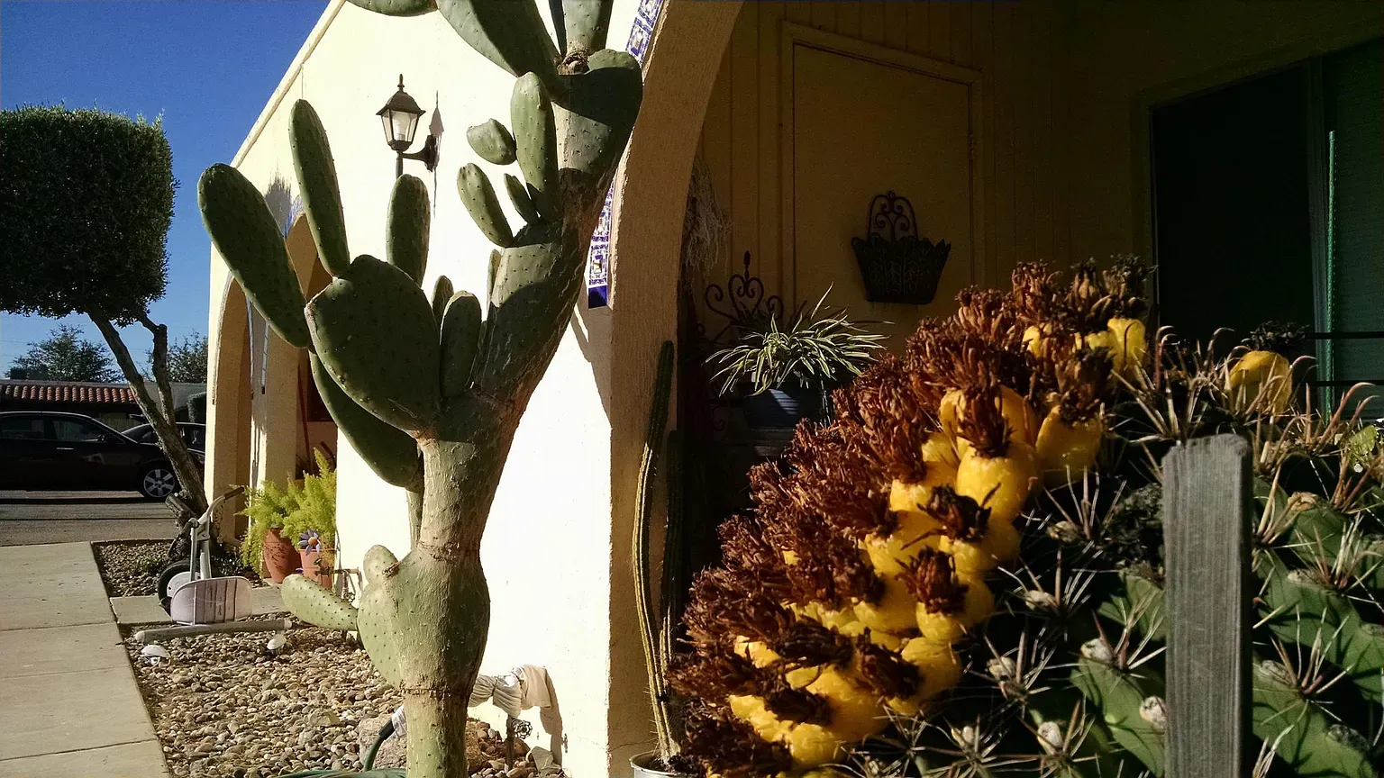 River Garden Exterior Photo