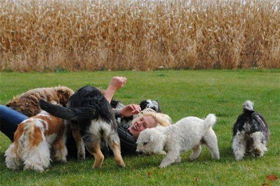 Woman playing in the grass with her dogs