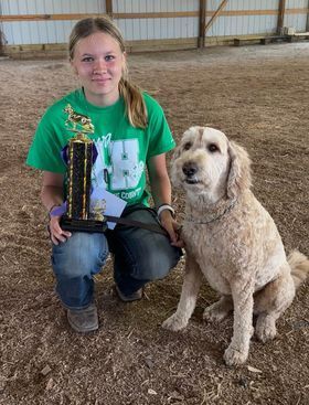 Therapy Dog from Kimberlee's Kennels 