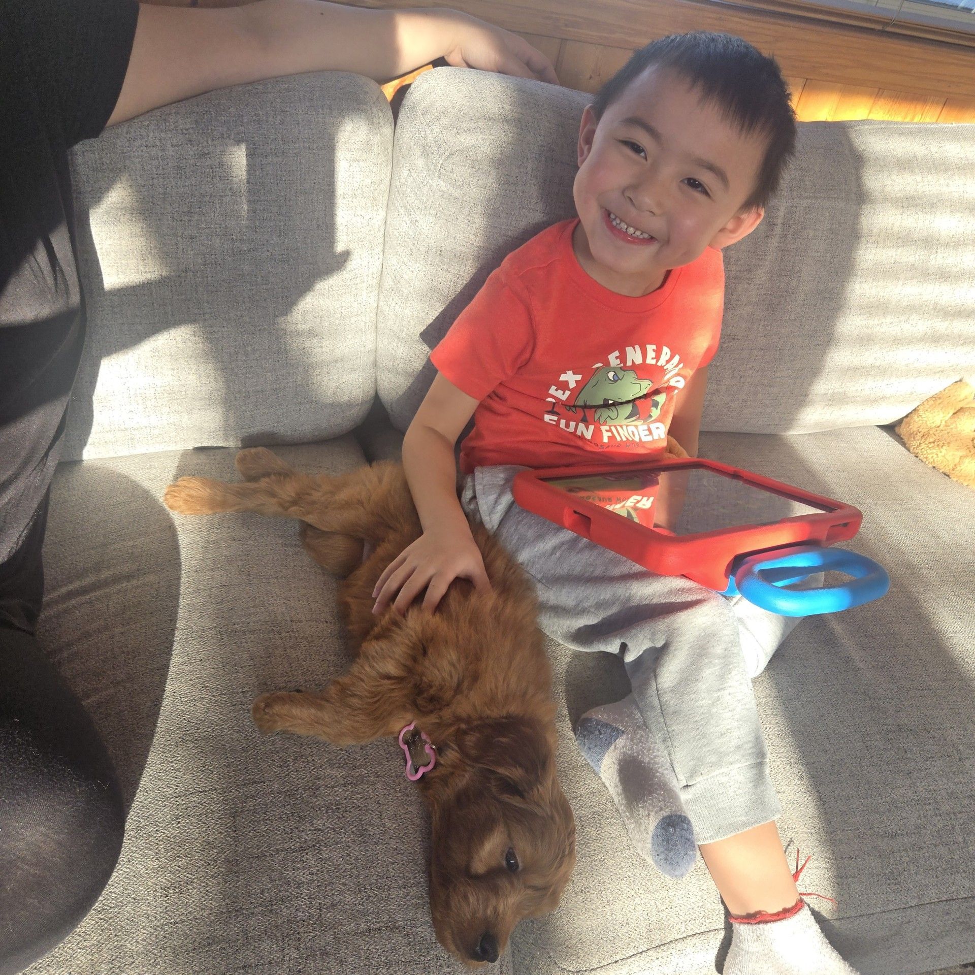 Miniature Female Goldendoodle Puppy Laying with Young Boy on Couch