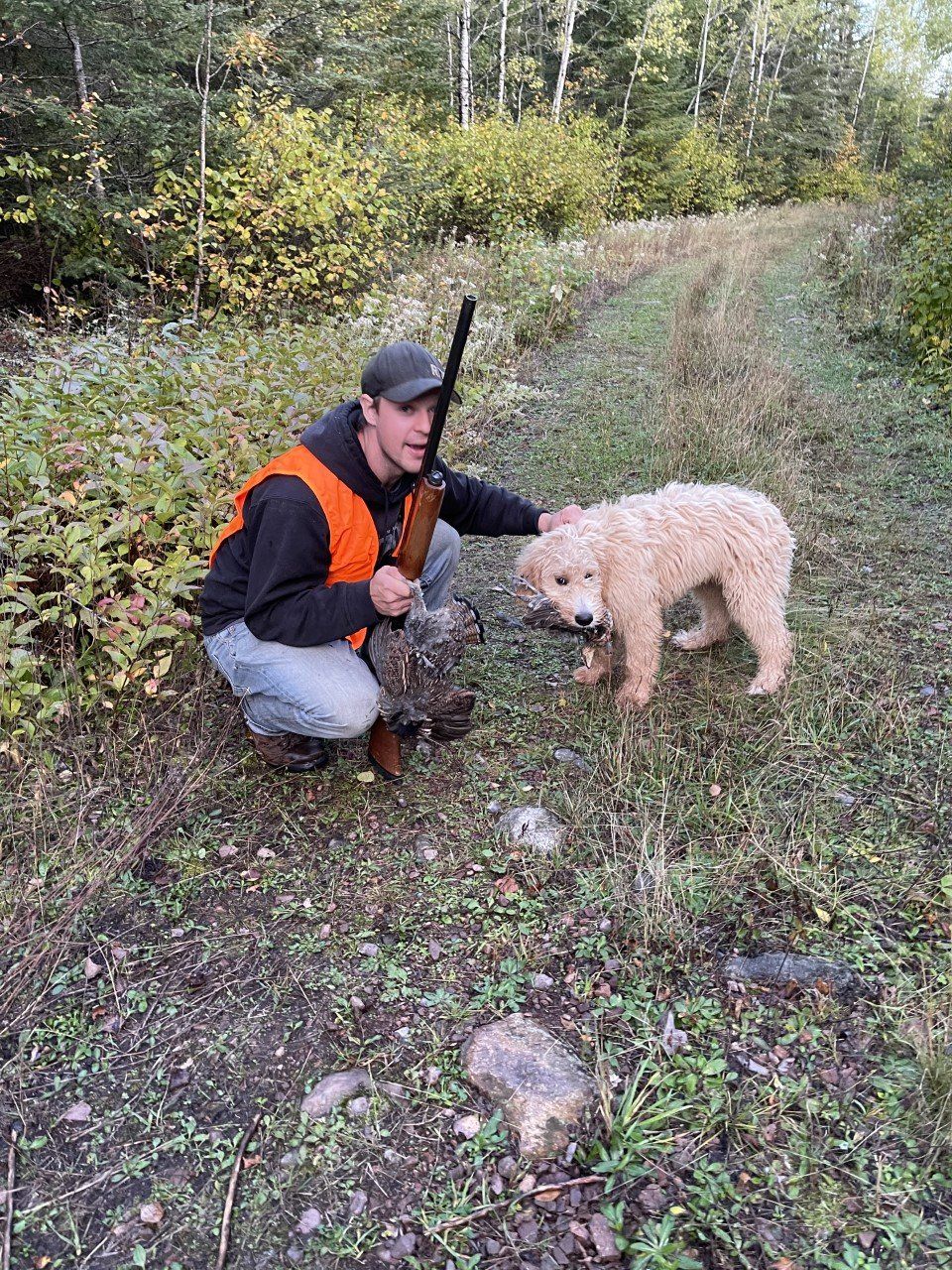 Hunting dog englishdoodle from Kimberlee's kennels 