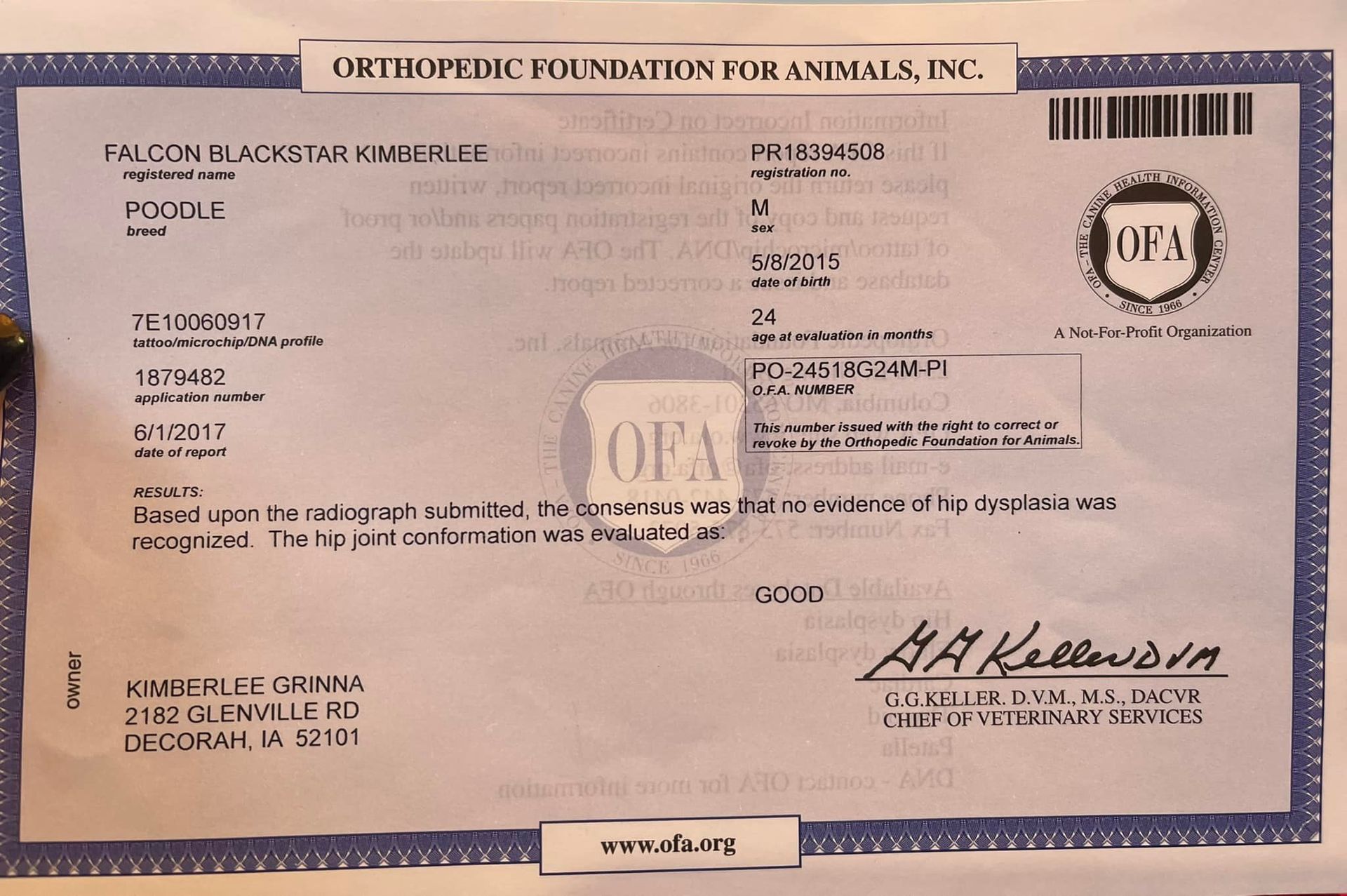 OFA results for a female standard poodle