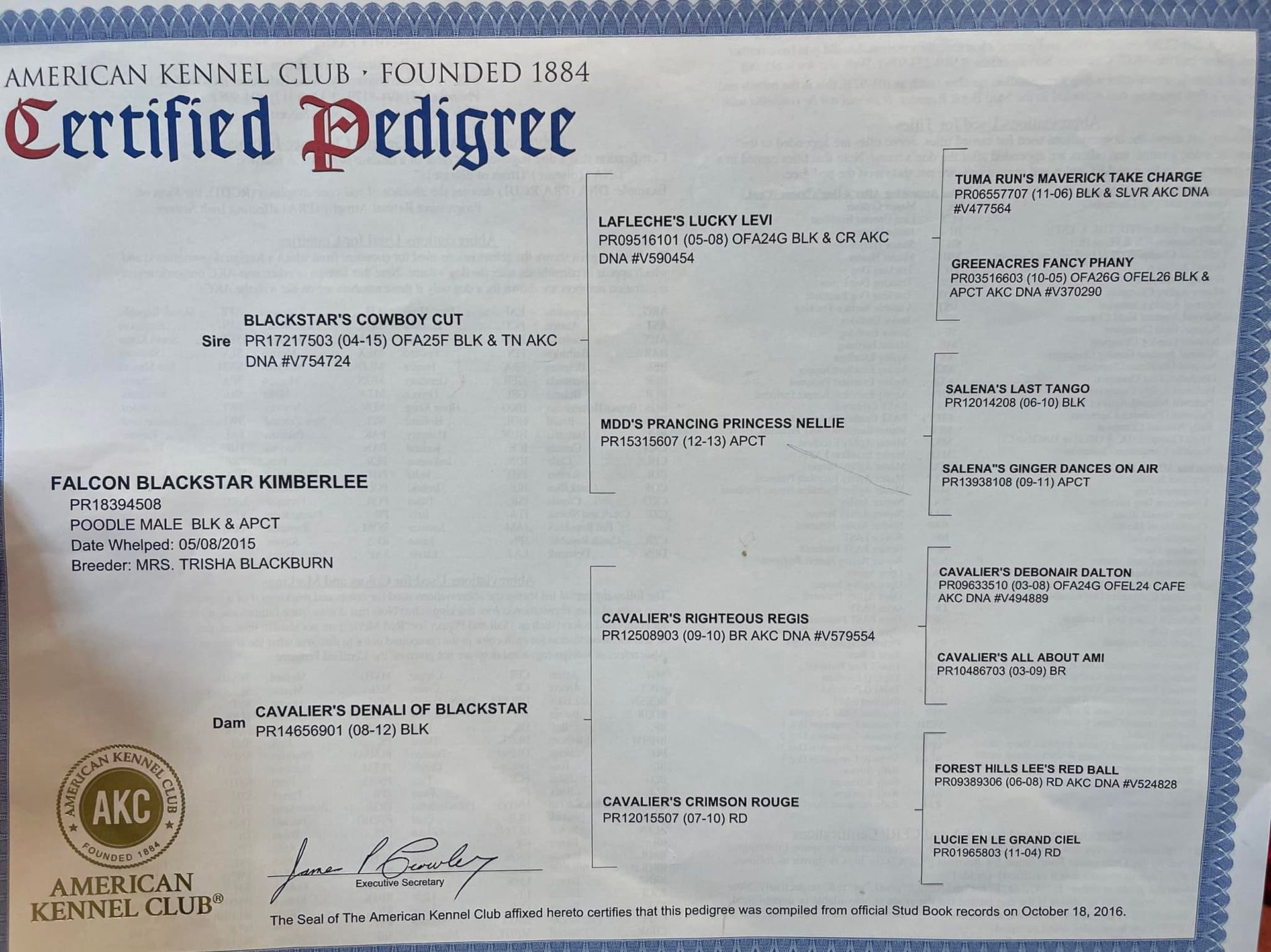 AKC Certified Pedigree for a standard poodle