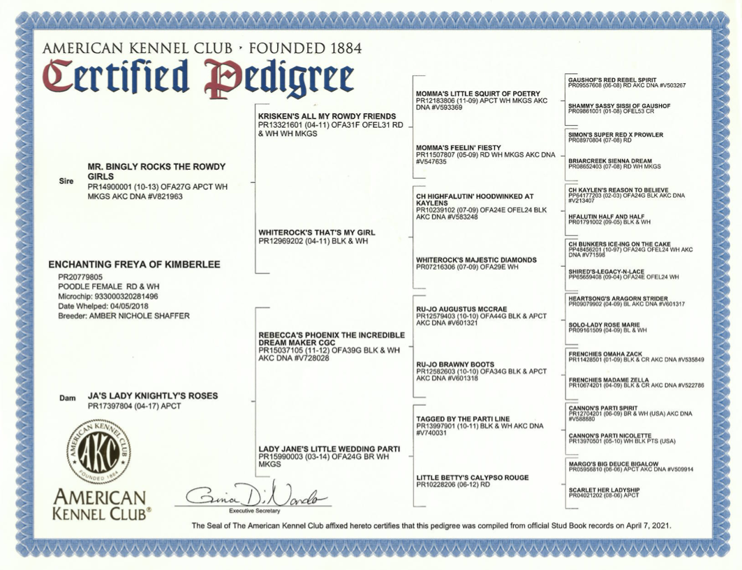 AKC certified pedigree for a female standard poodle