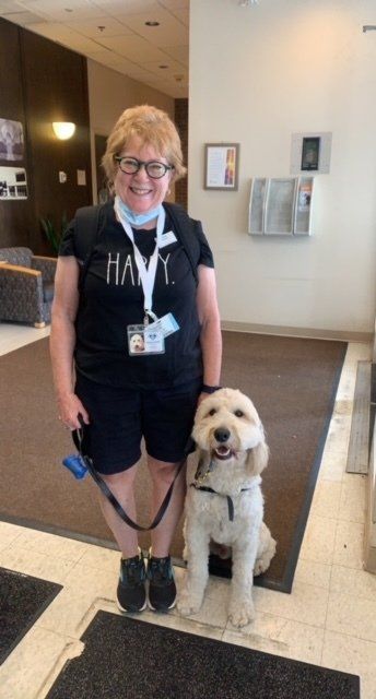 Medical therapy dog from Kimberlee's Kennels 