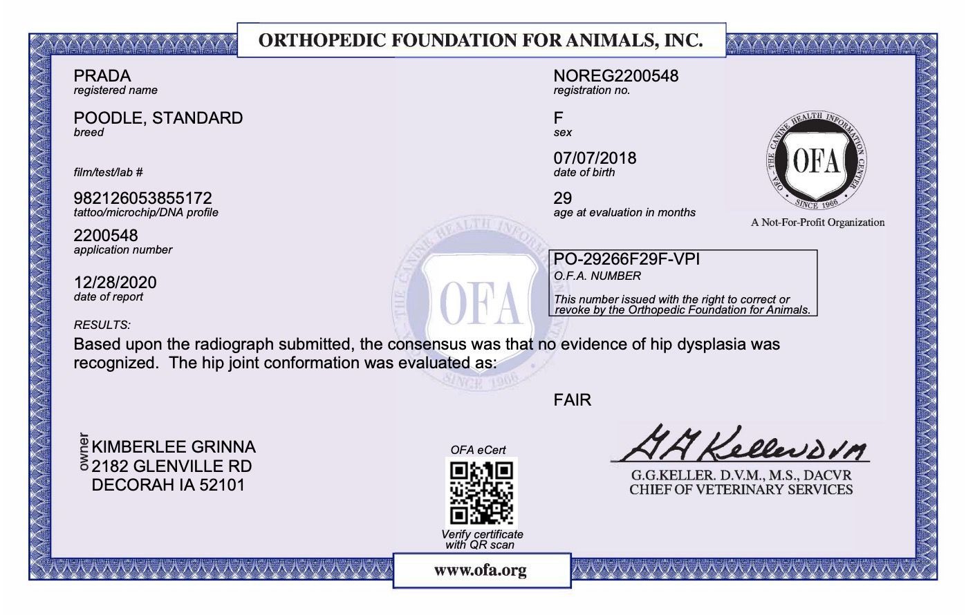 OFA results for a standard female poodle