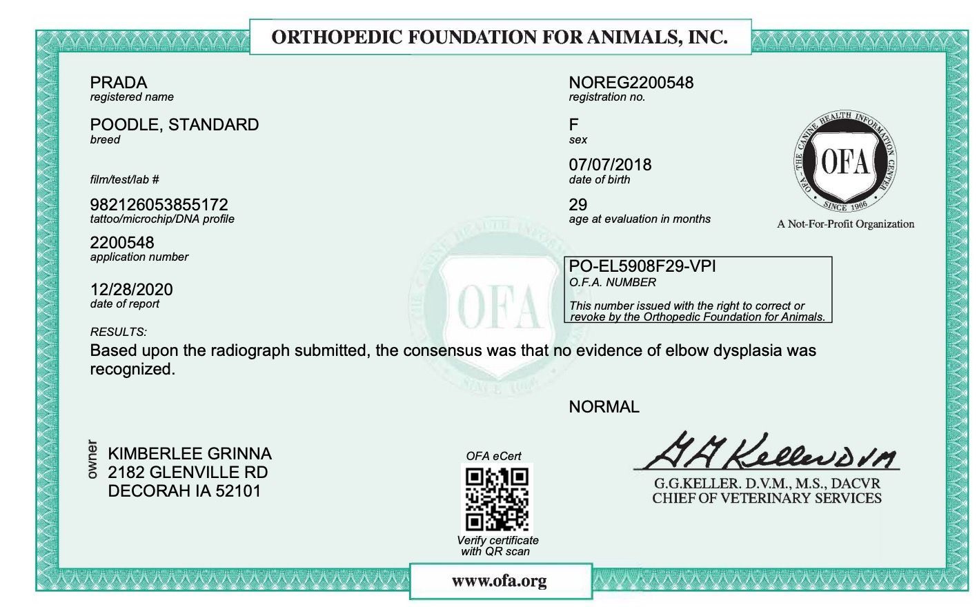 OFA Results for a standard female poodle