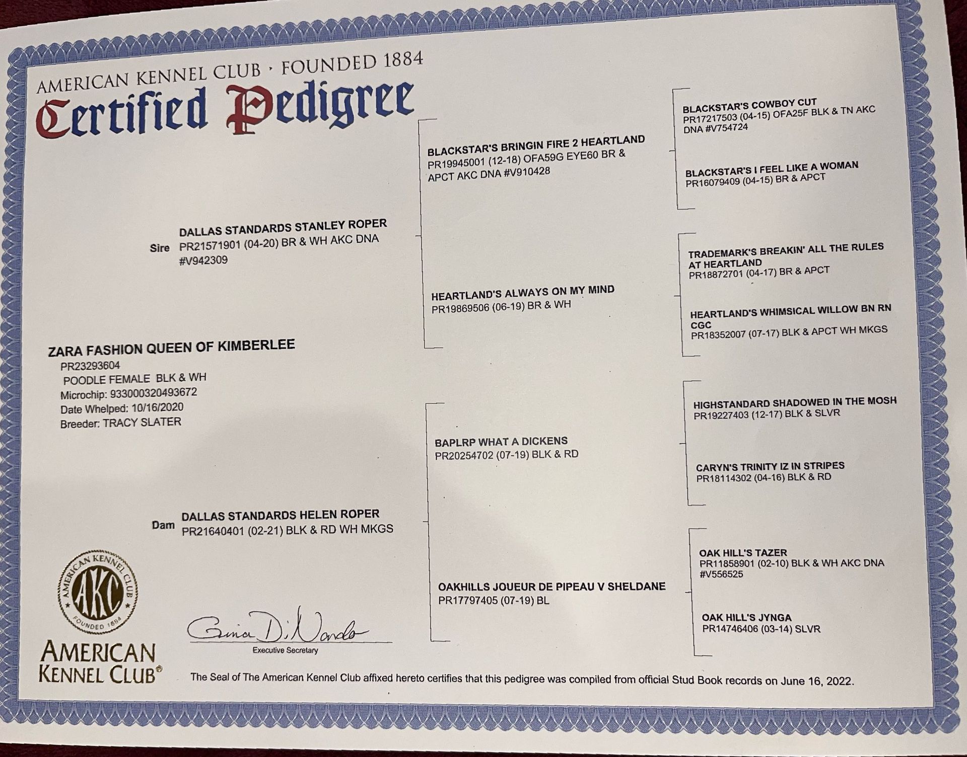 AKC Certified Degree for Parent Dog, ethical health testing