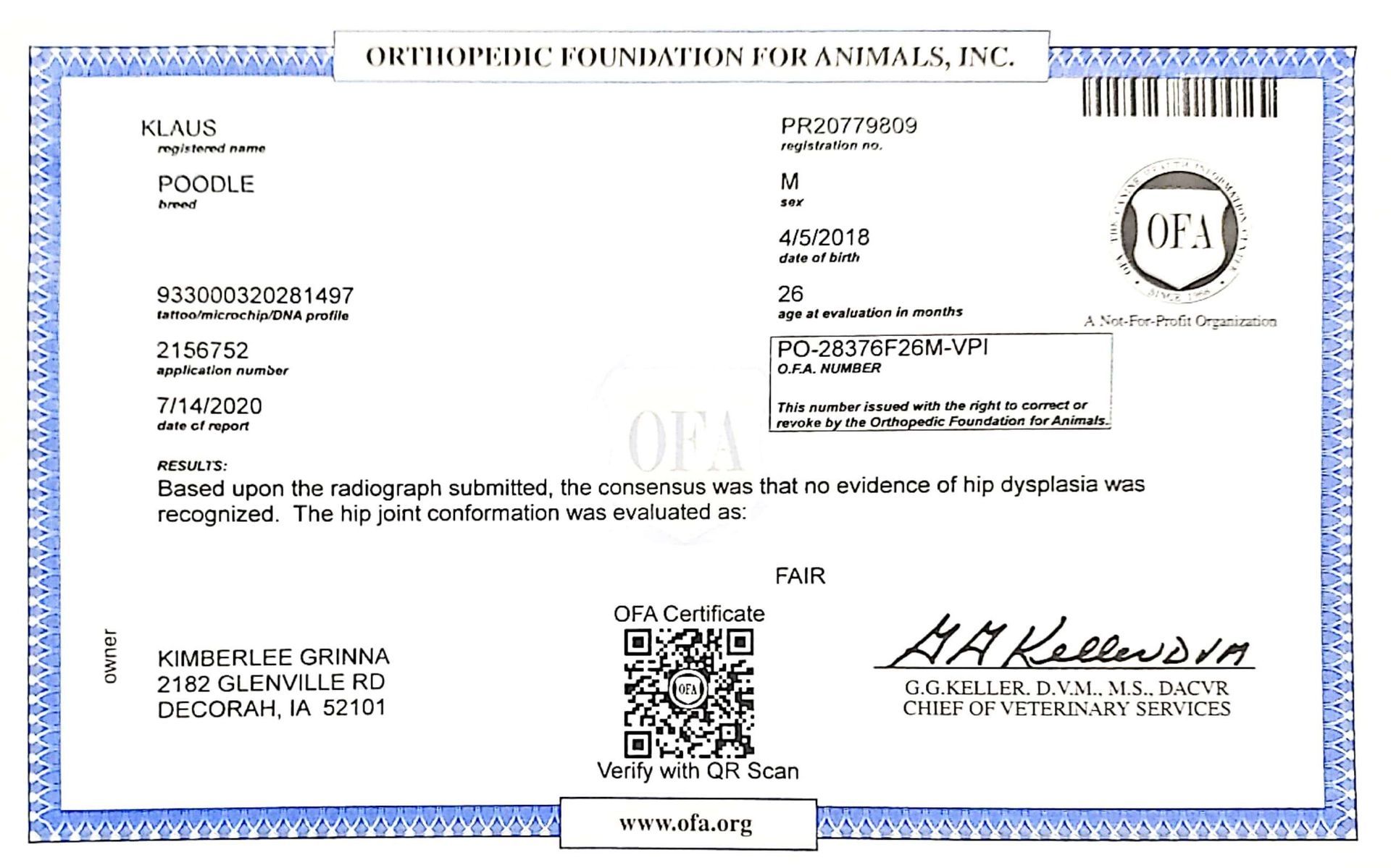 OFA Hip certification document showing health testing results for a Kimberlee's Kennels English Retriever adult 
