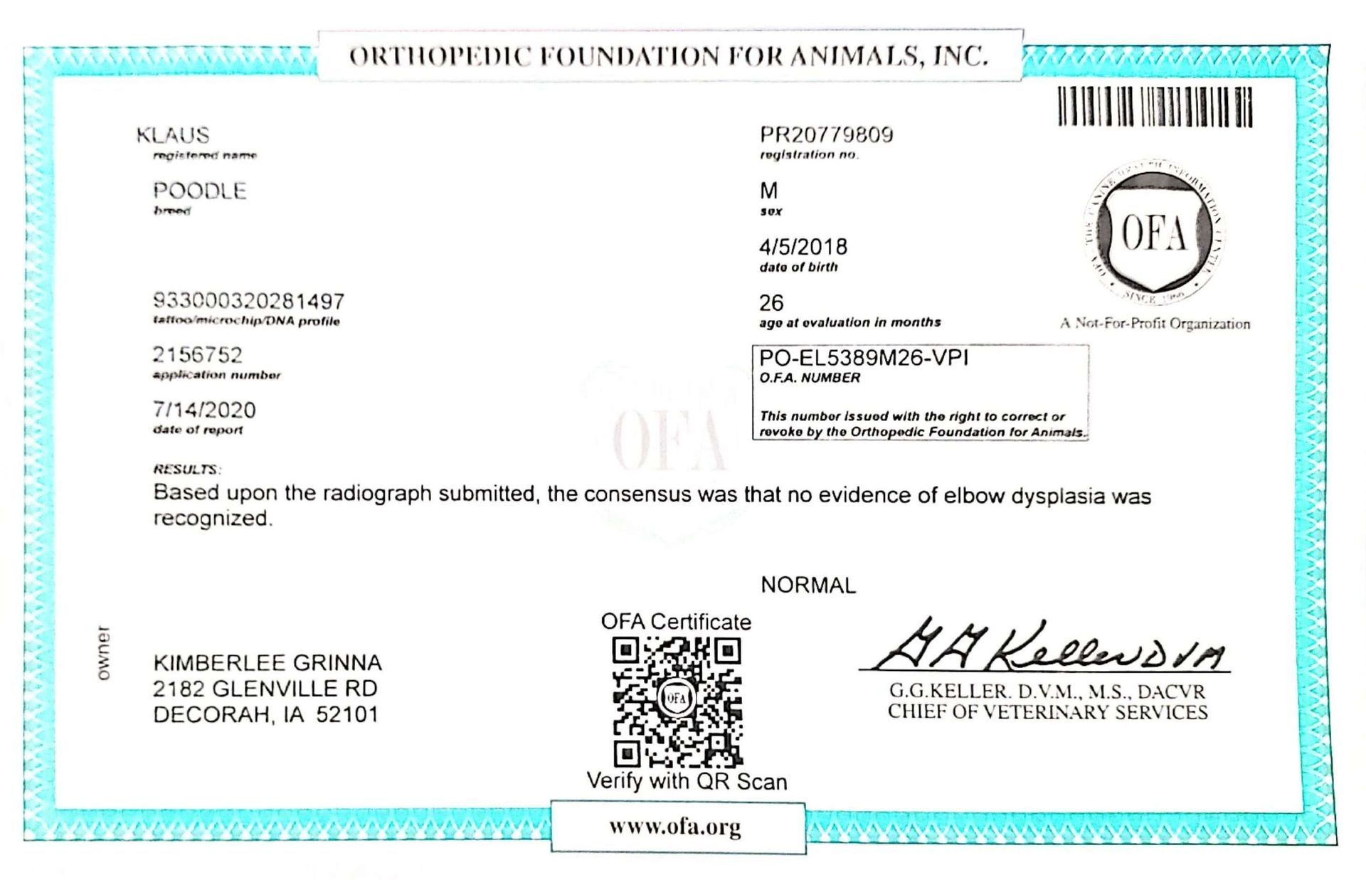 OFA Elbow certification document showing health testing results for a Kimberlee's Kennels Englishdoodle adult 